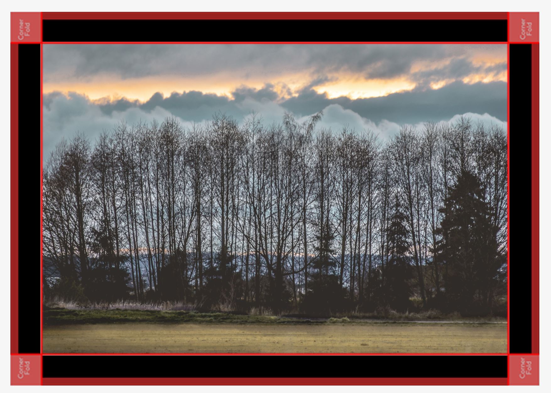 Dusk to dreams black canvas.JPG