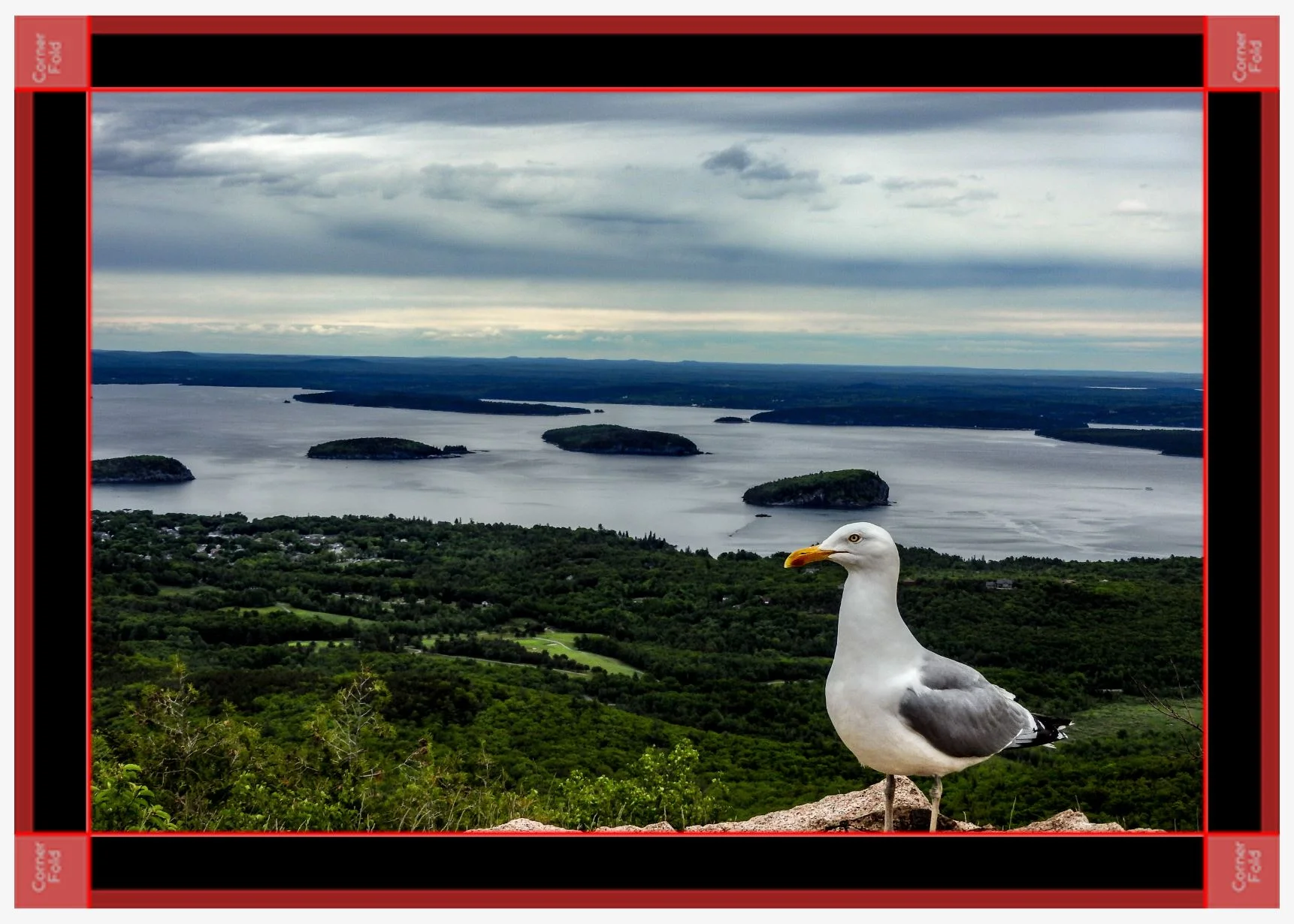 The Maine View black canvas.JPG