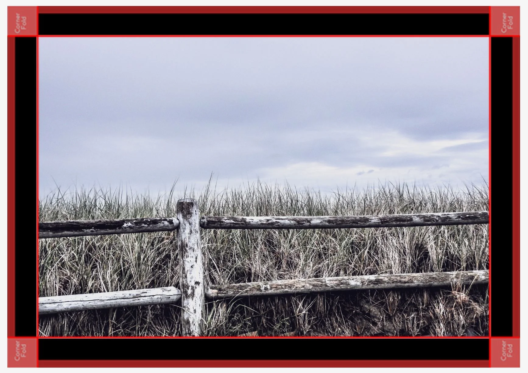 Warm whispers black canvas.JPG