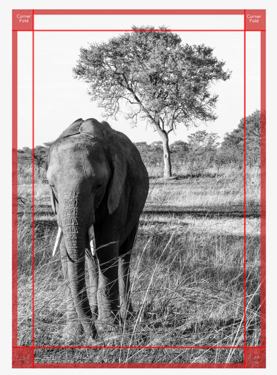 For the Love of Africa print canvas mock.JPG