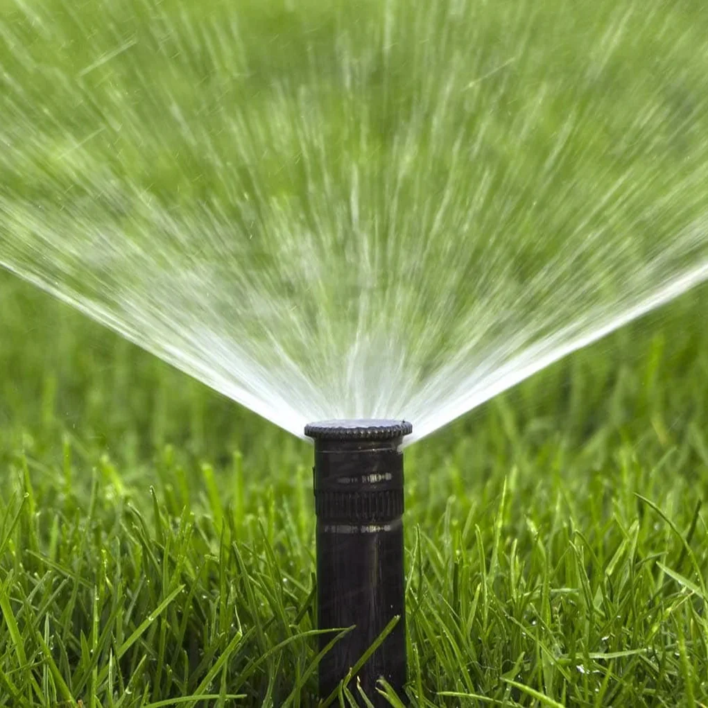 irrigation.jpg