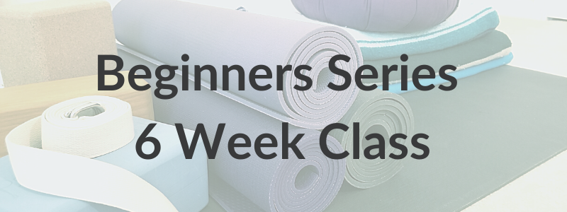 Beginners Yoga Classes 800_300.png