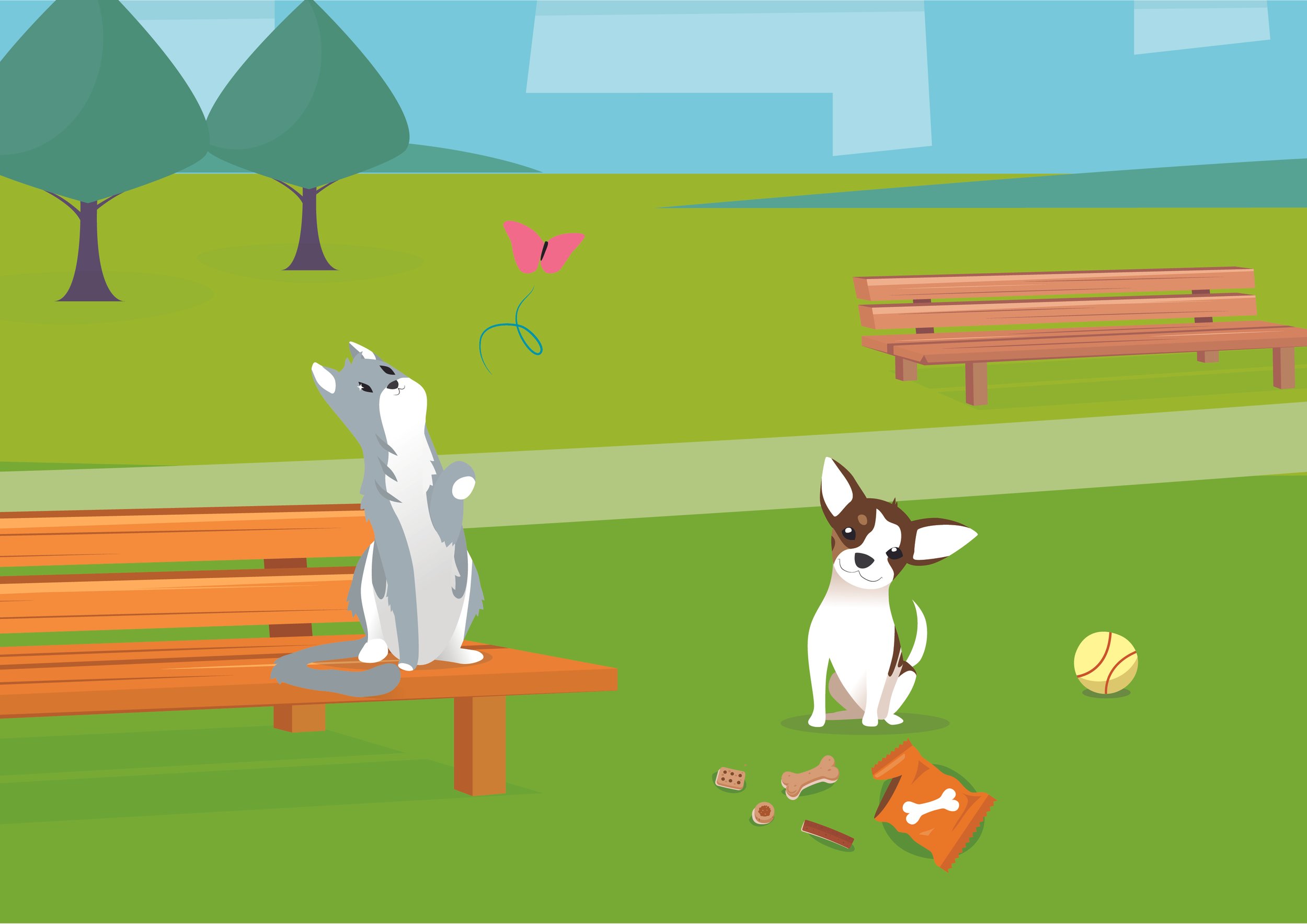 Junior_Education_Program_ColouringPage_A4Landscape_V2-07.jpg