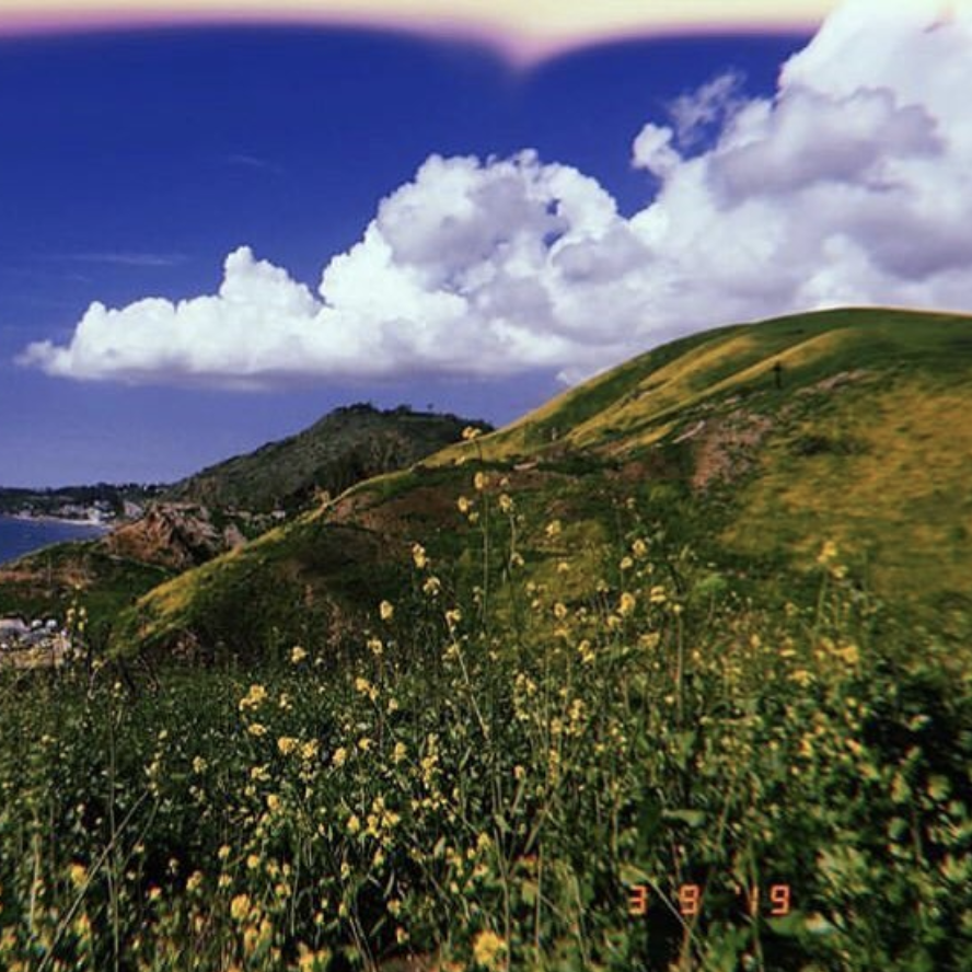 Screen Shot 2019-03-19 at 10.45.49 PM.png