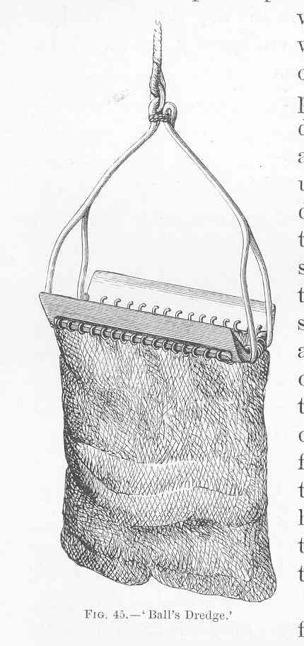 FMIB_49313_Ball's_Dredge.jpeg