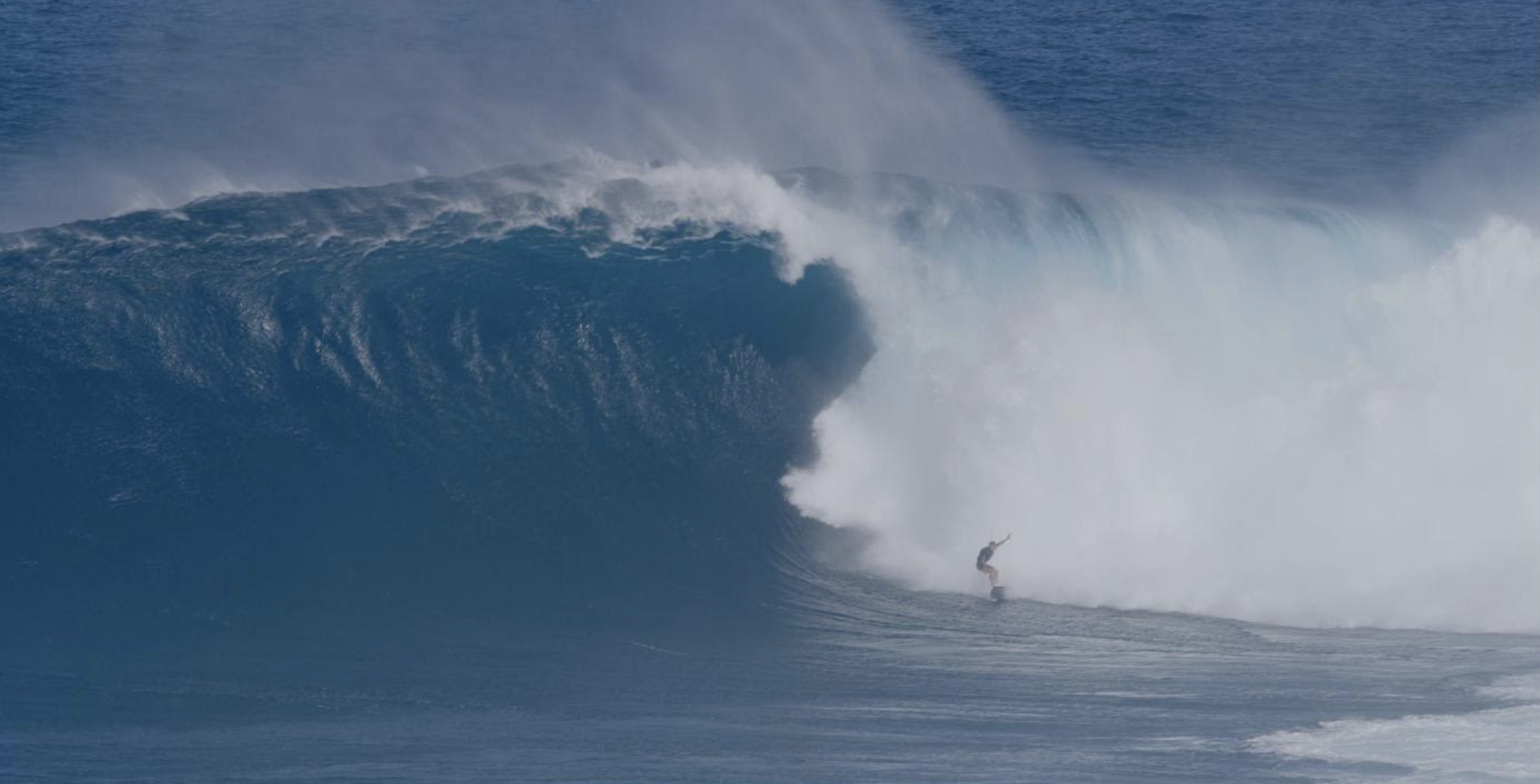 Screenshot 2024-12-20 at 10.22.11 AM.png