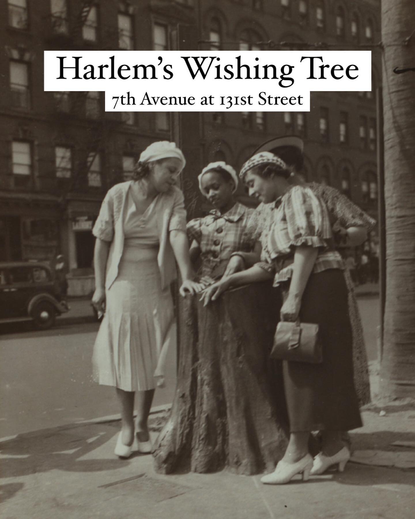 Harlem in the 1920s was a neighborhood pulsing with youth and energy. Its staid brownstones and apartment blocks were crowded with a whole new generation of Harlemites, many of them transplants from the Deep South. In such a thrumming, energetic neig