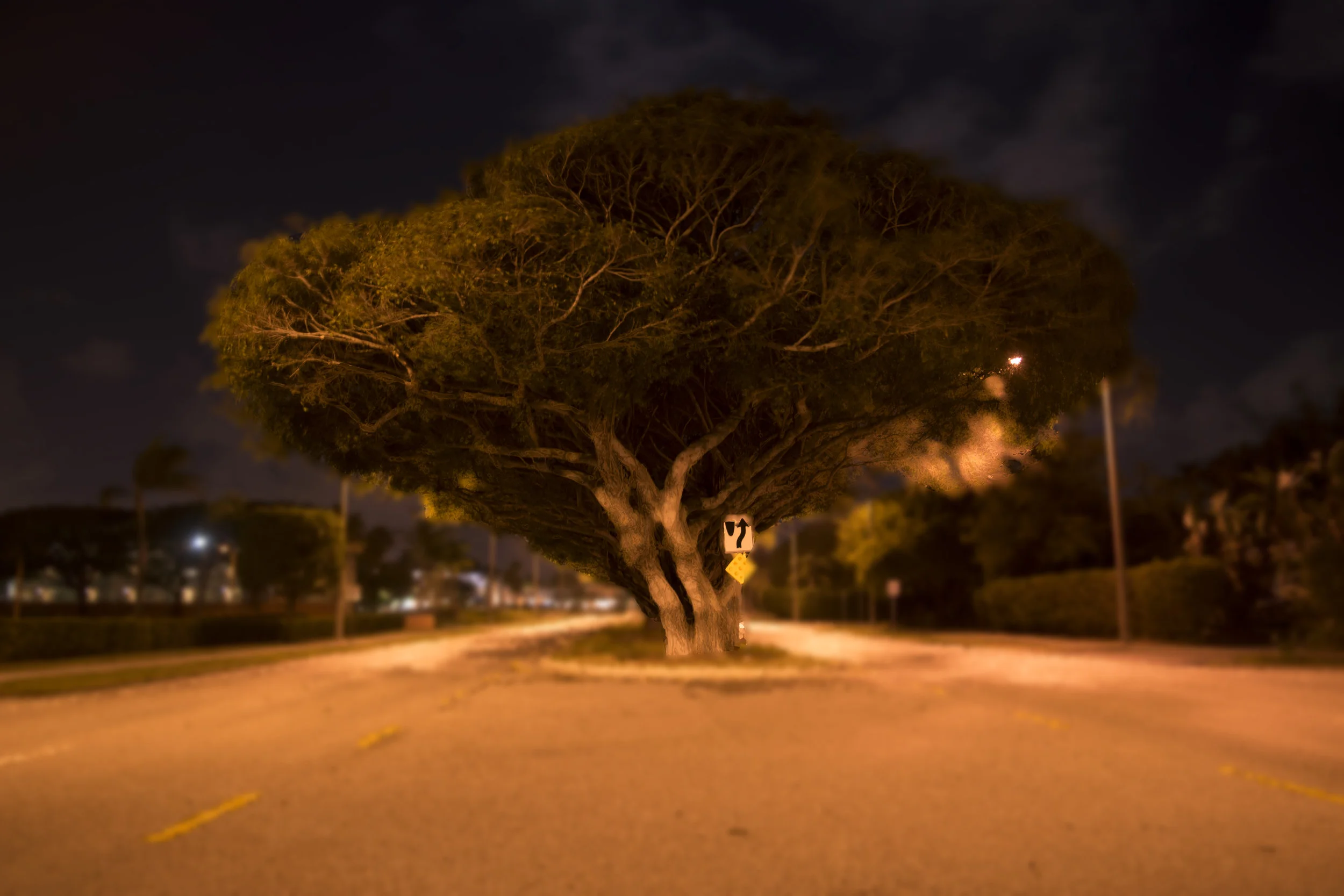 DSC_0049.jpg