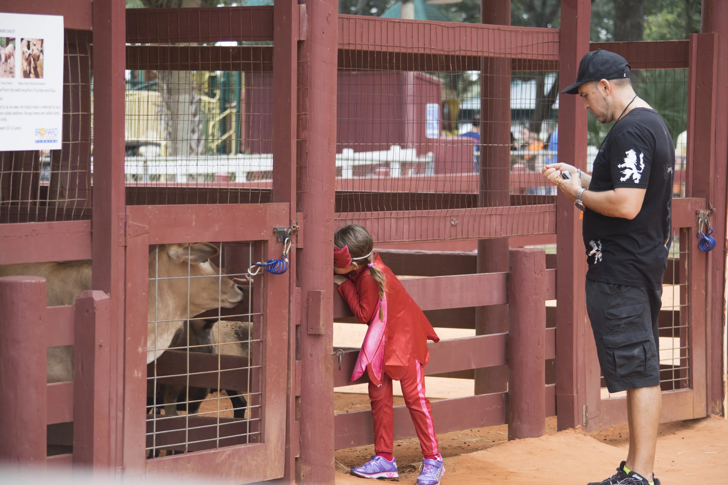 Fall Festival, Petting Zoo, 10:29:16.jpg