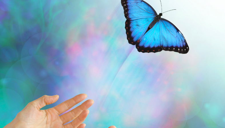 sometimes you hear the call