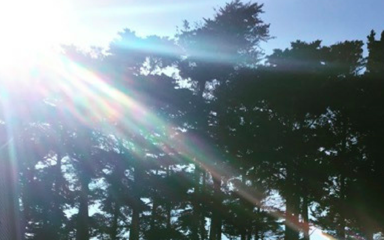 Immense appreciation for this moment