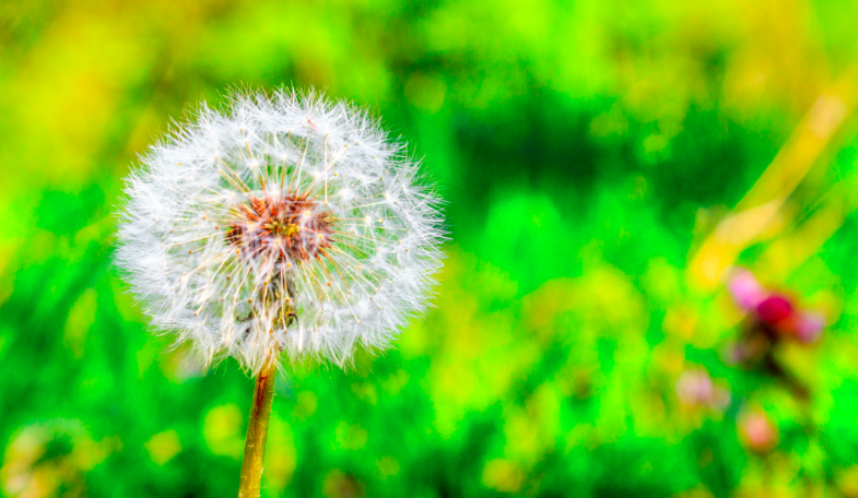 Why Are You Doing What You Are Doing?