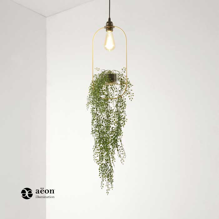 HANGING_GARDEN_OVAL_1.jpg