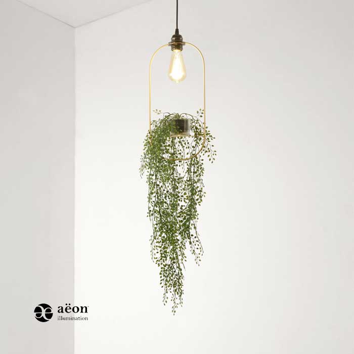 Contemporary Lighting Solutions For, Hanging Plant Light Fixture