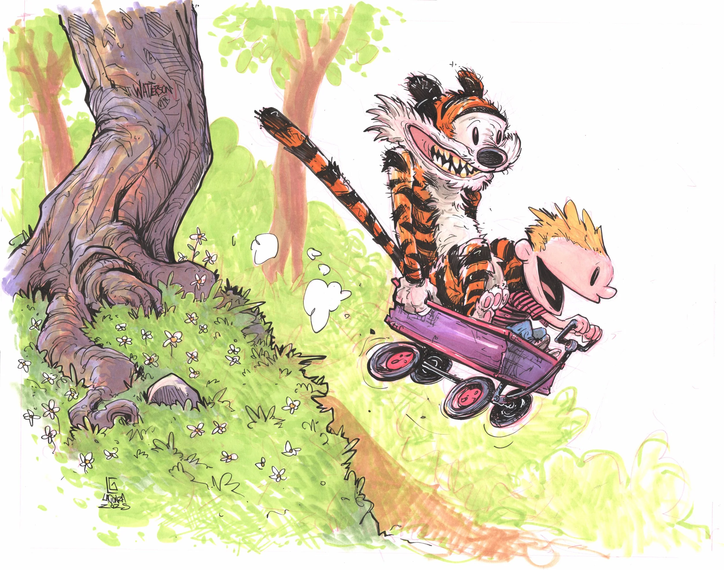 calvin.jpg