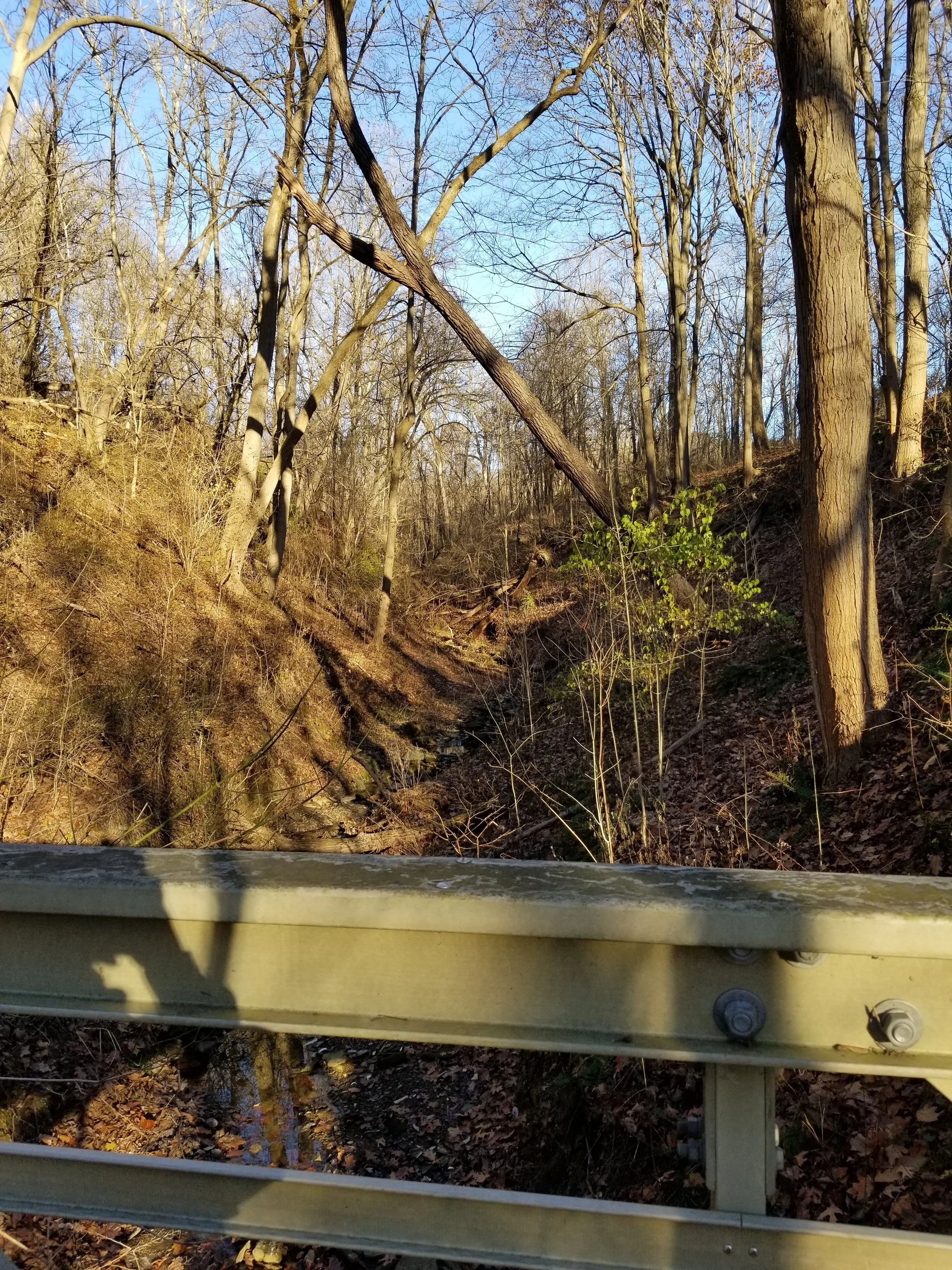 20171128_153022.jpg