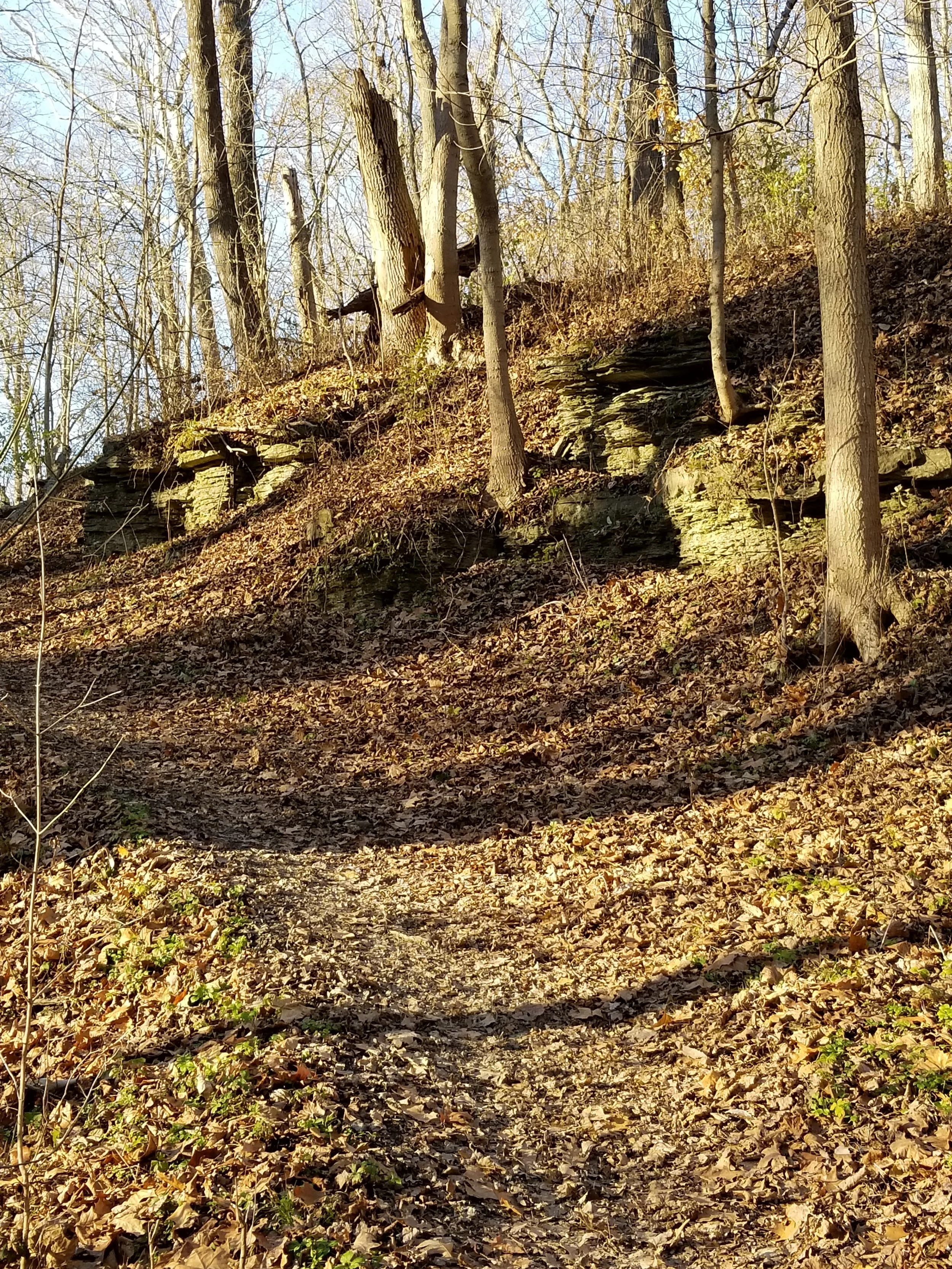 20171128_153033.jpg