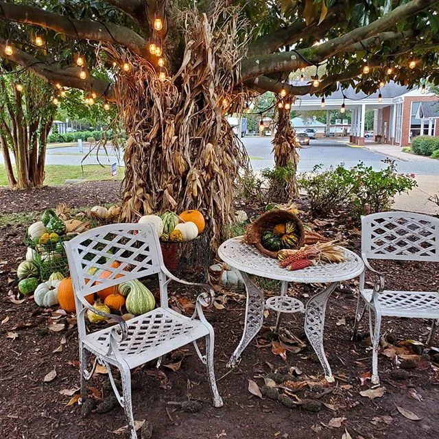 This restaurant knows how to decorate

#fall #falldecor