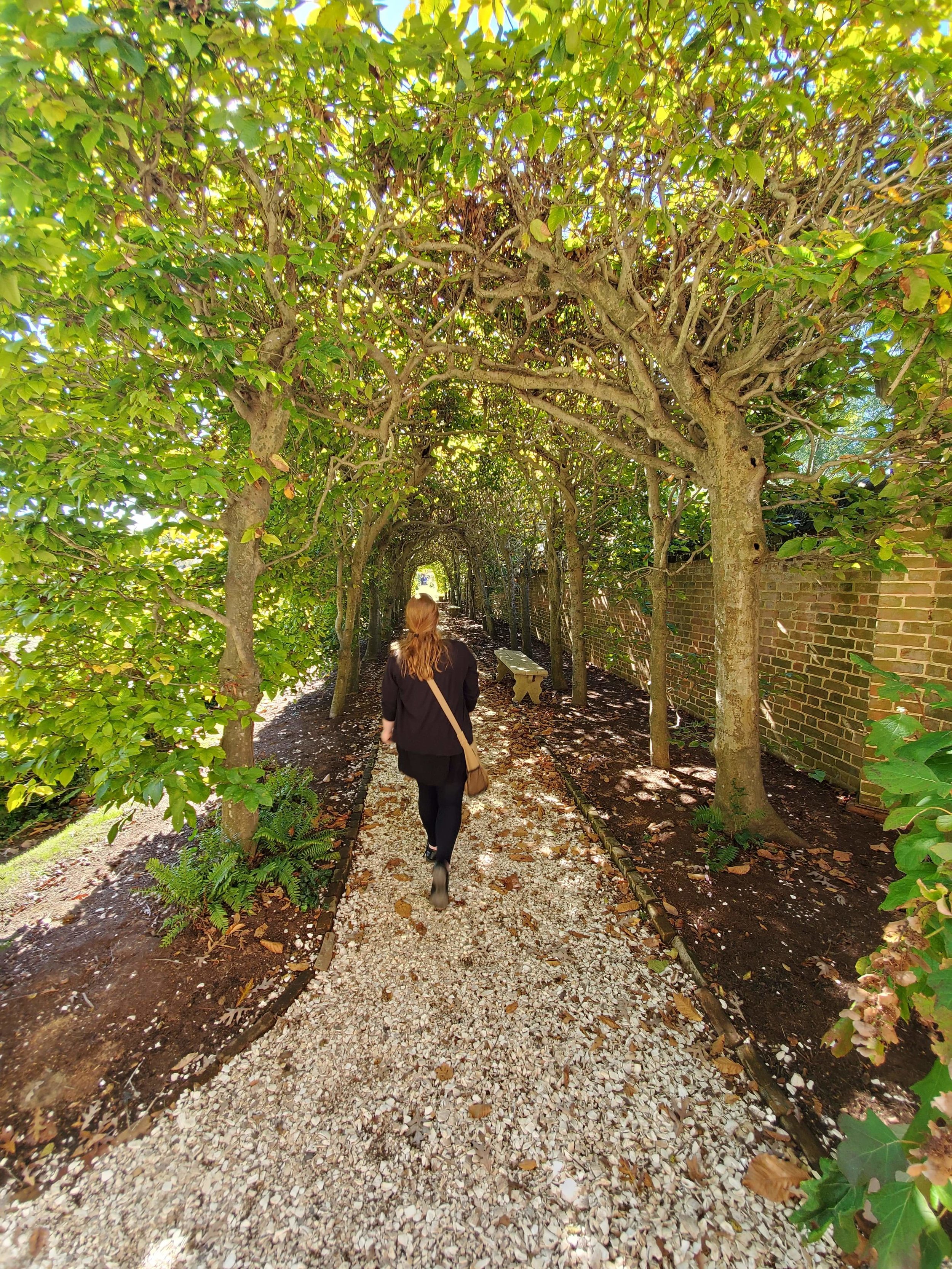 Old Soul in Modern Times