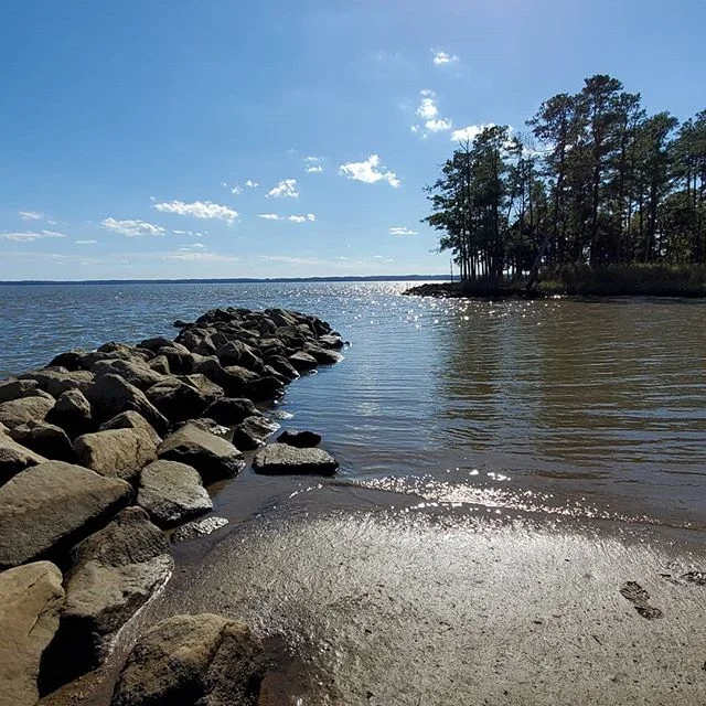 &quot;Reasoning let's go [...] and I release what must go&quot;- excerpt from Warrior by Anilah.

The past week I was down in Virginia and planned on sharing some pictures during my time there. But once there I decided I felt more compelled to wait. 