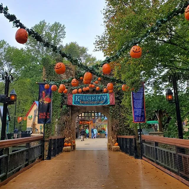 🎃Happy Halloween! 🎃
Last week I experienced Howl-O-Scream in Busch Gradens. Was a spooky blast! More photos on the blog