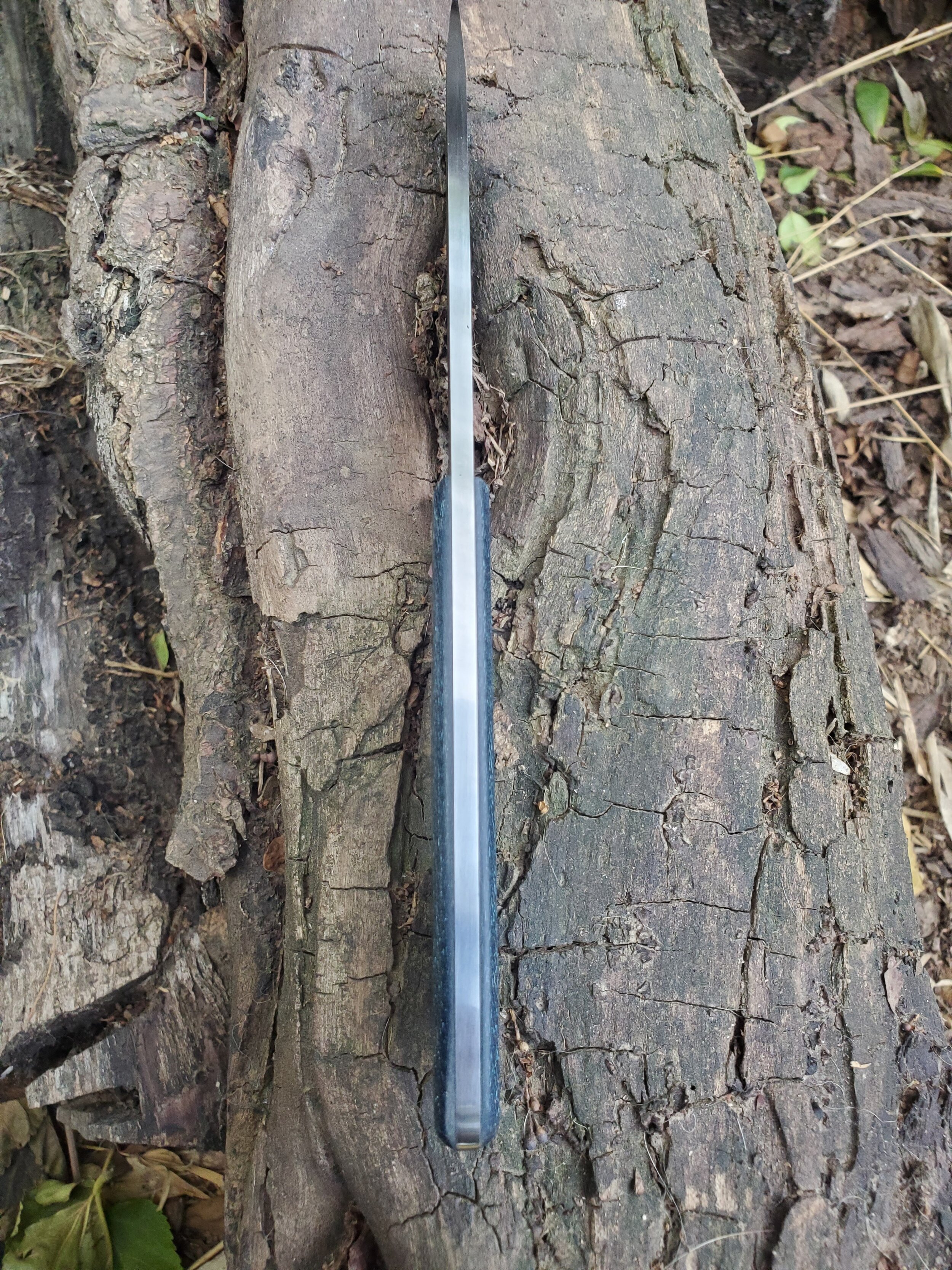 20201203_154003.jpg