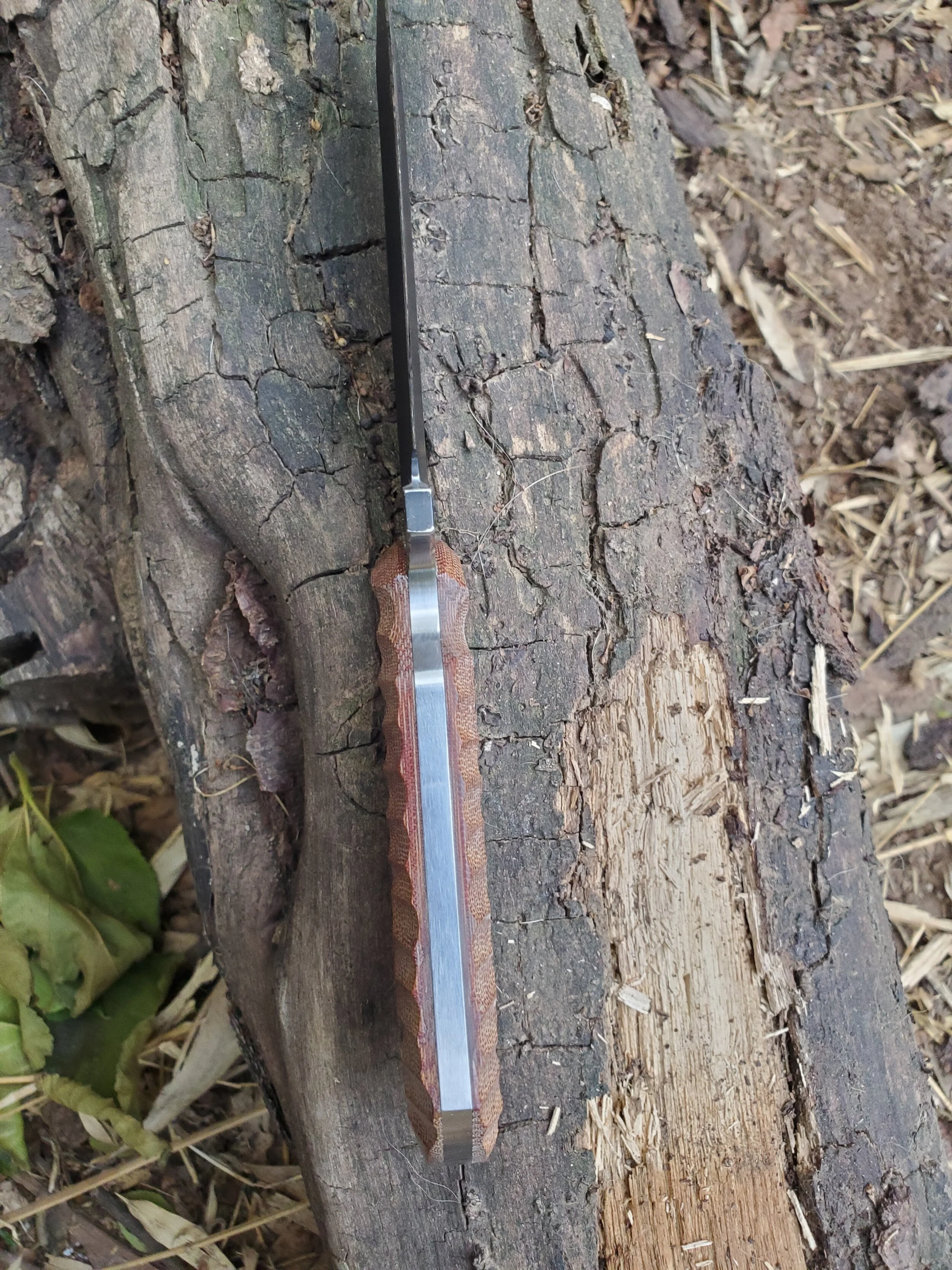 20201203_154139.jpg