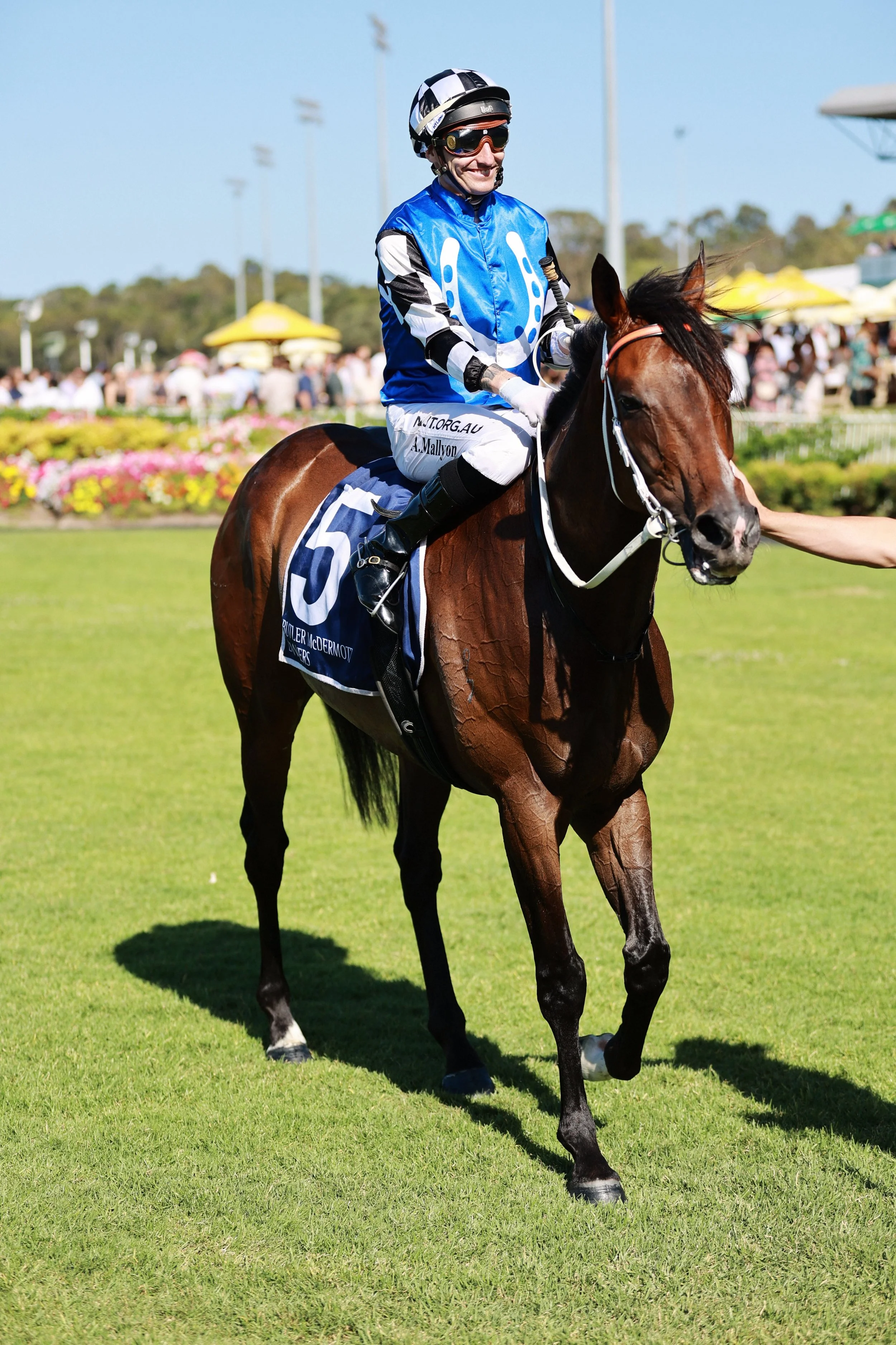  GAZi PHOTOGRAPHYSUNSHINE COAST TURF CLUB 