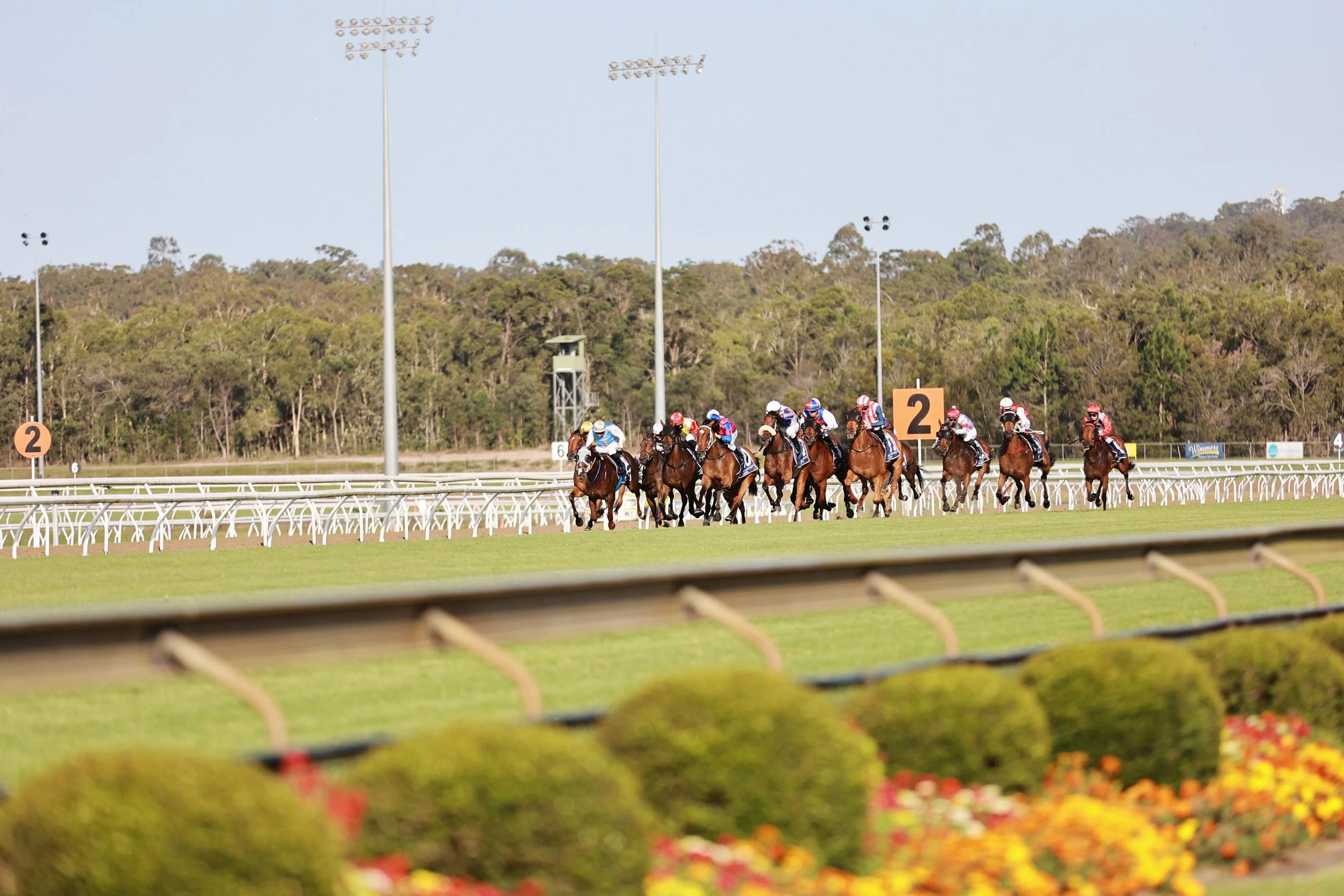  GAZi PHOTOGRAPHYSUNSHINE COAST TURF CLUB 