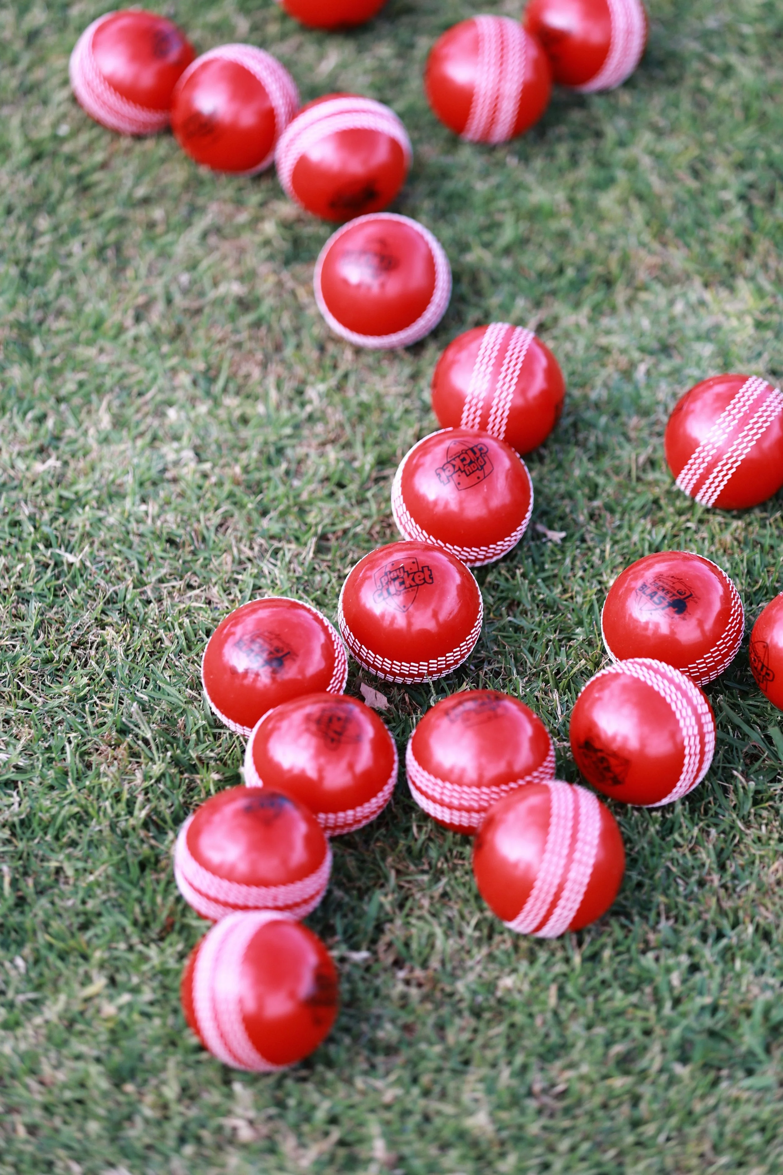 011 @GAZiPHOTO_murwillumbah-cricket-club-woolworths-donation.JPG
