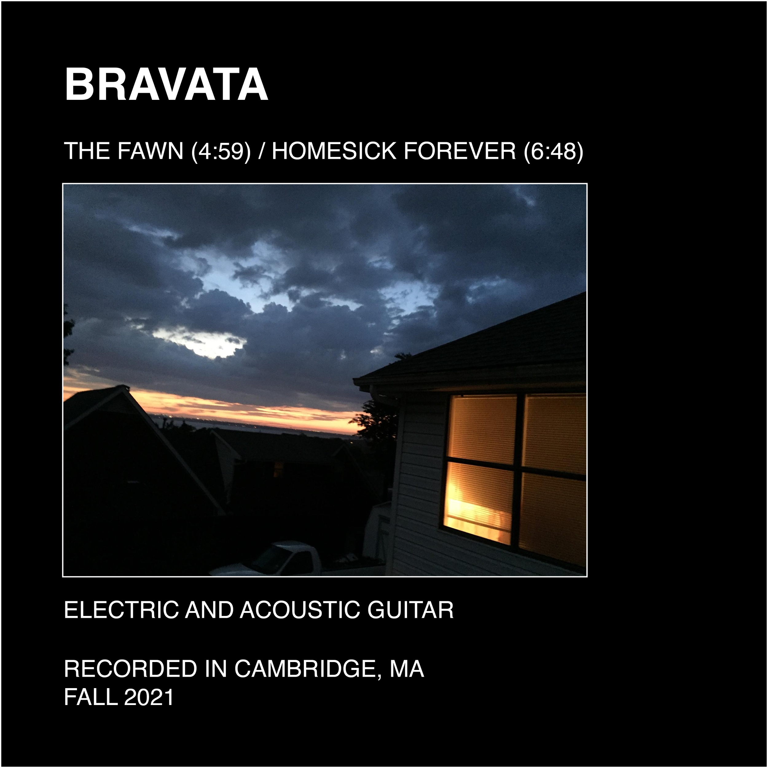 The Fawn/Homesick Forever