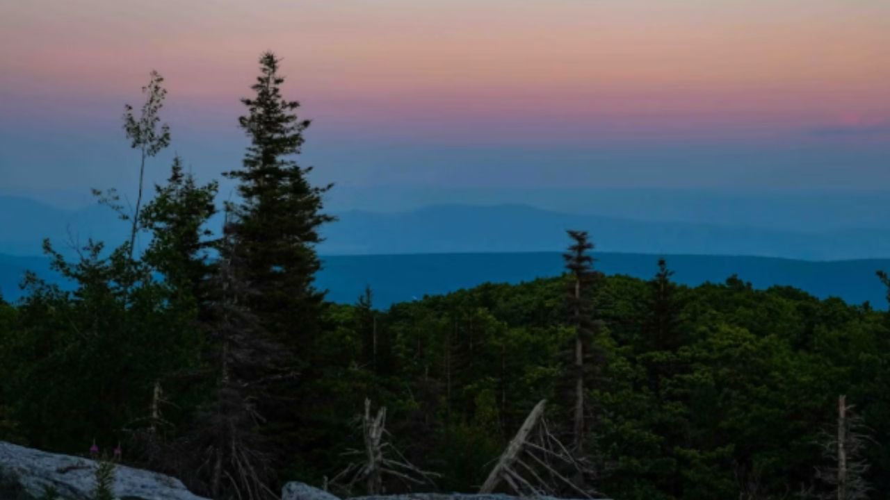 Dolly Sods Wilderness near Davis, West Virginia, in the Appalachian Mountains.