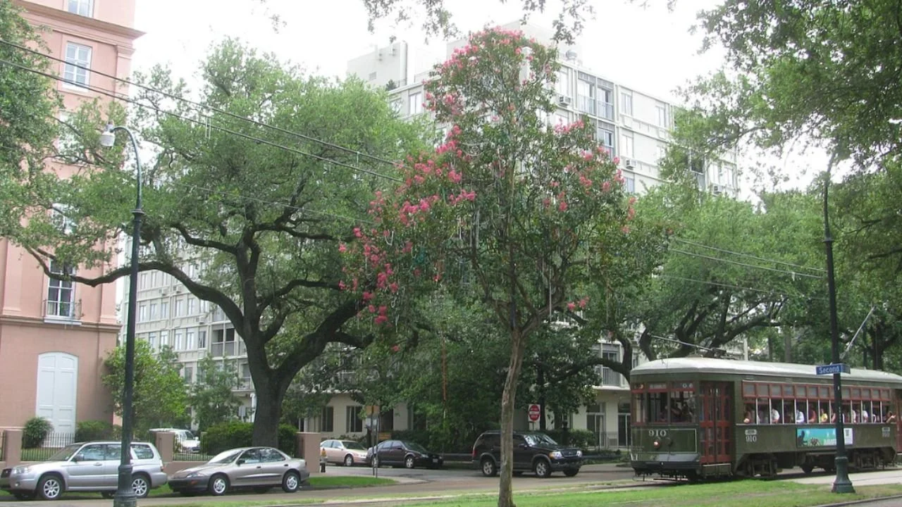 Streetcar on St. Charles Avenue in the Garden District.