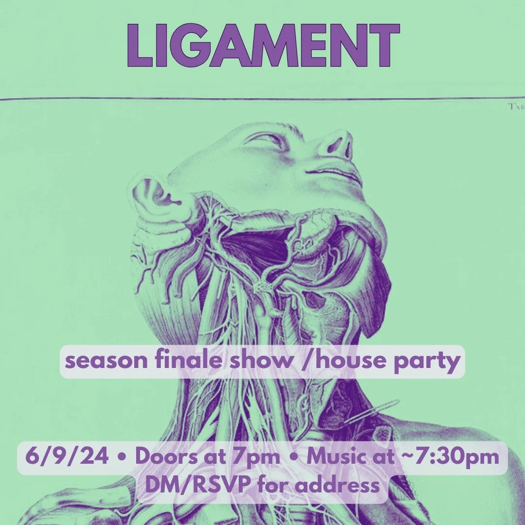 Season Finale/Party