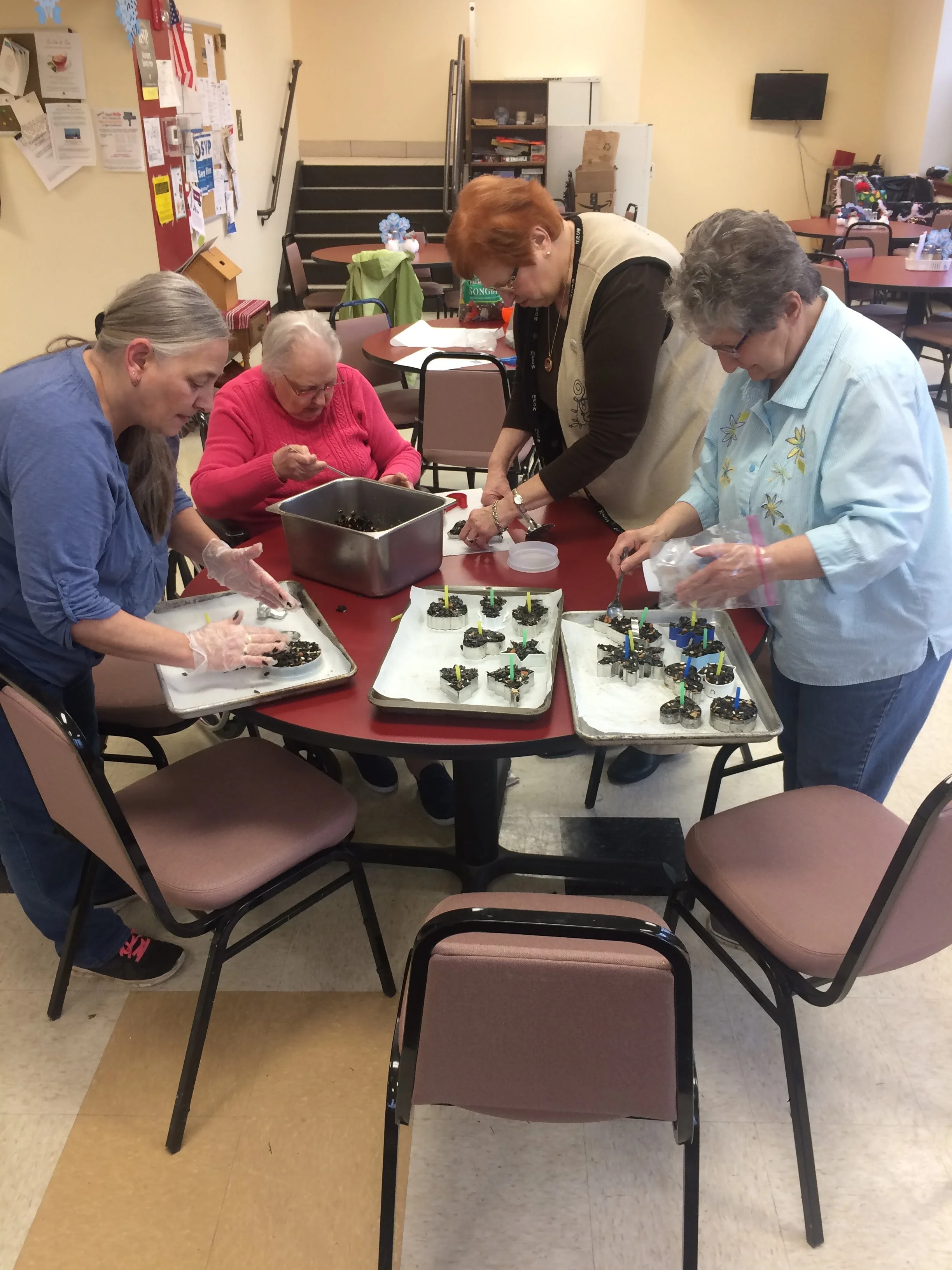 Birdseed Ornament Making - Older Adult programming.jpg