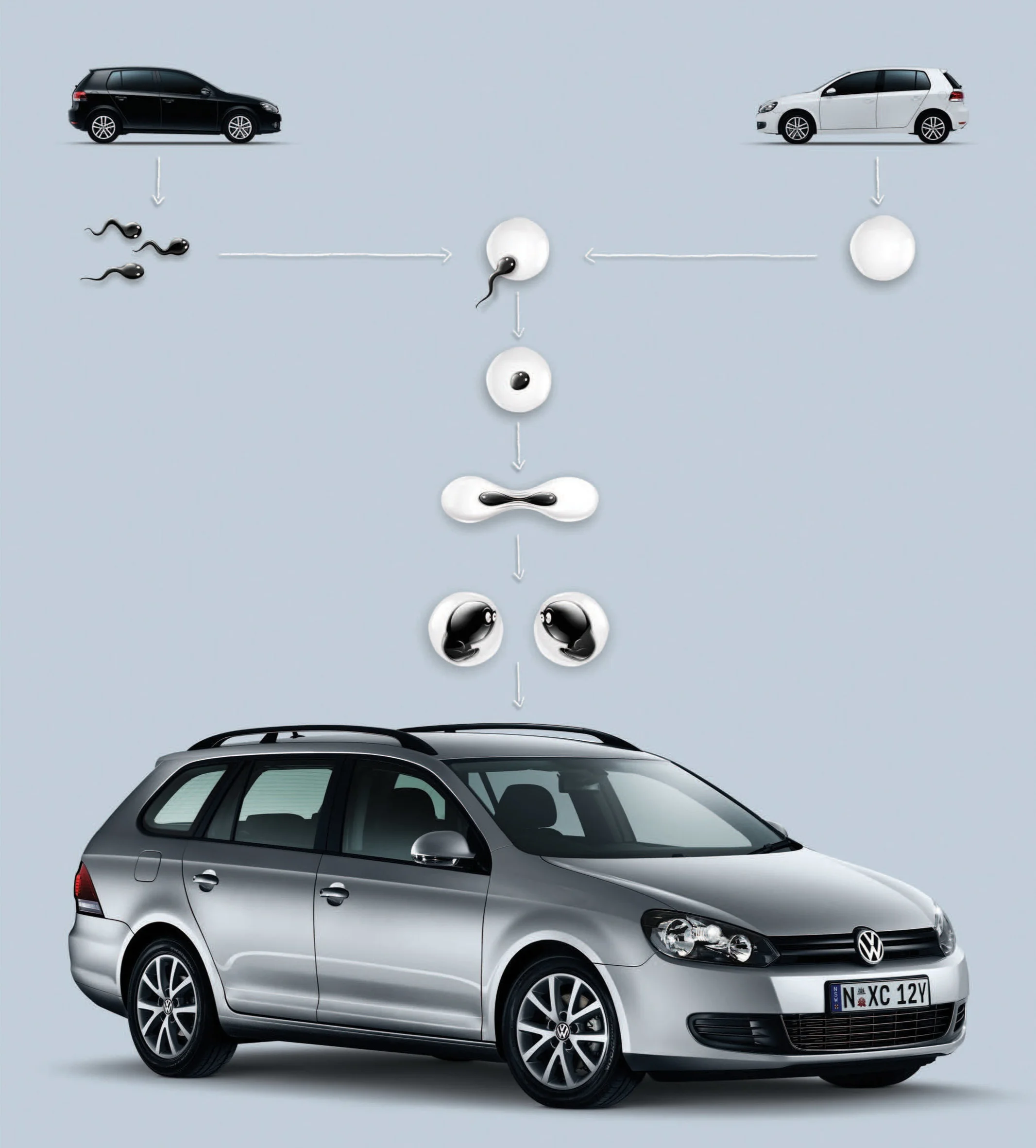VW+wagon_sperm.jpg