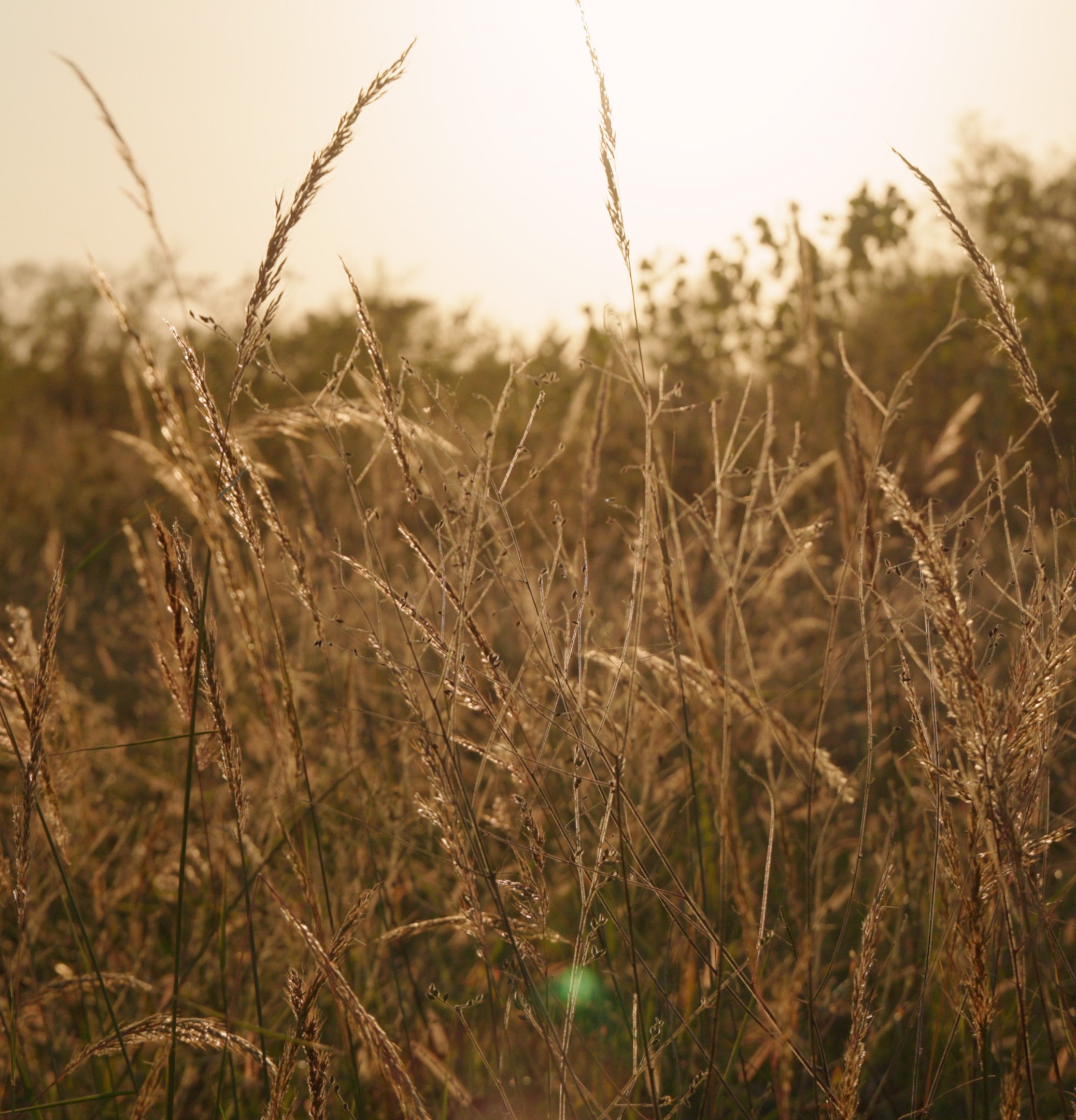 67eae9127eaad869e8765e60_Law 04.jpg