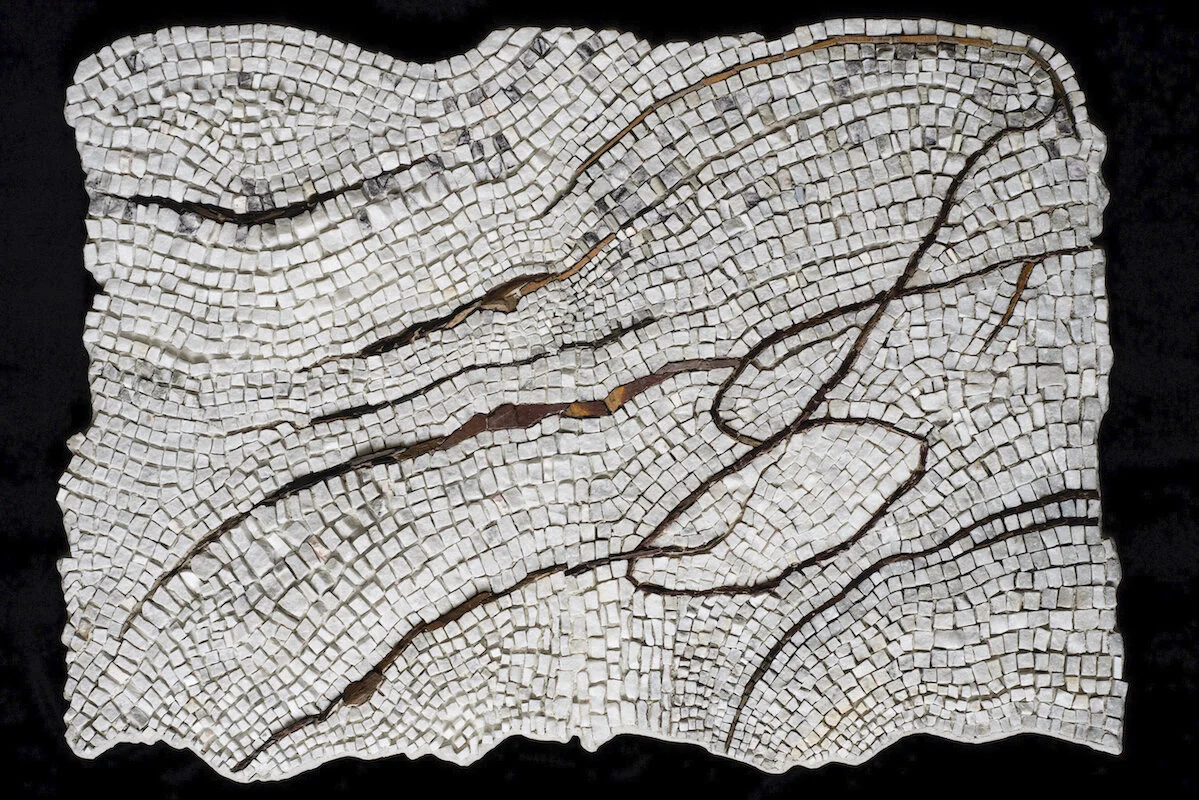 Deoxygenation – Purple Passages   