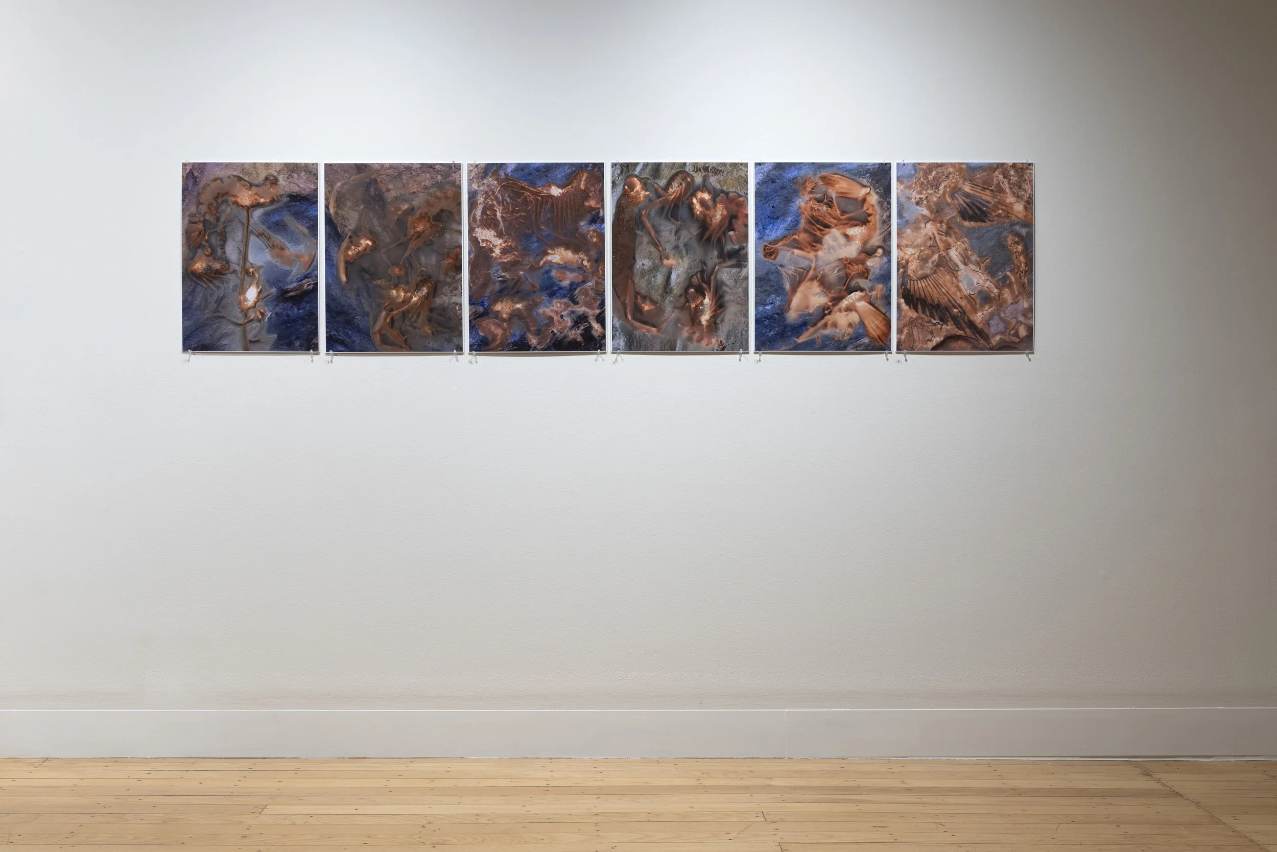 Lumen Photogram series