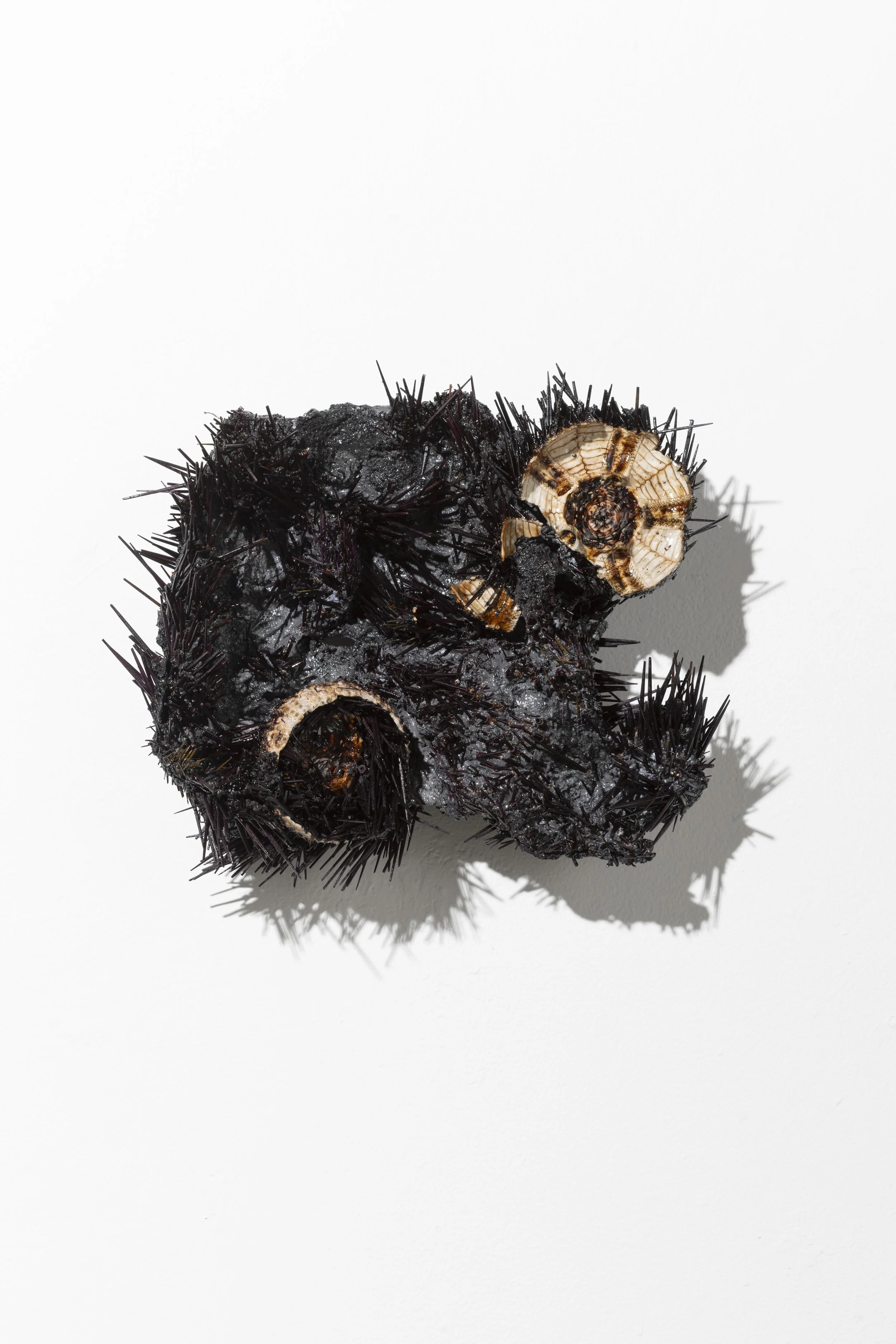 Deep Bloom LM-030725-054.jpg