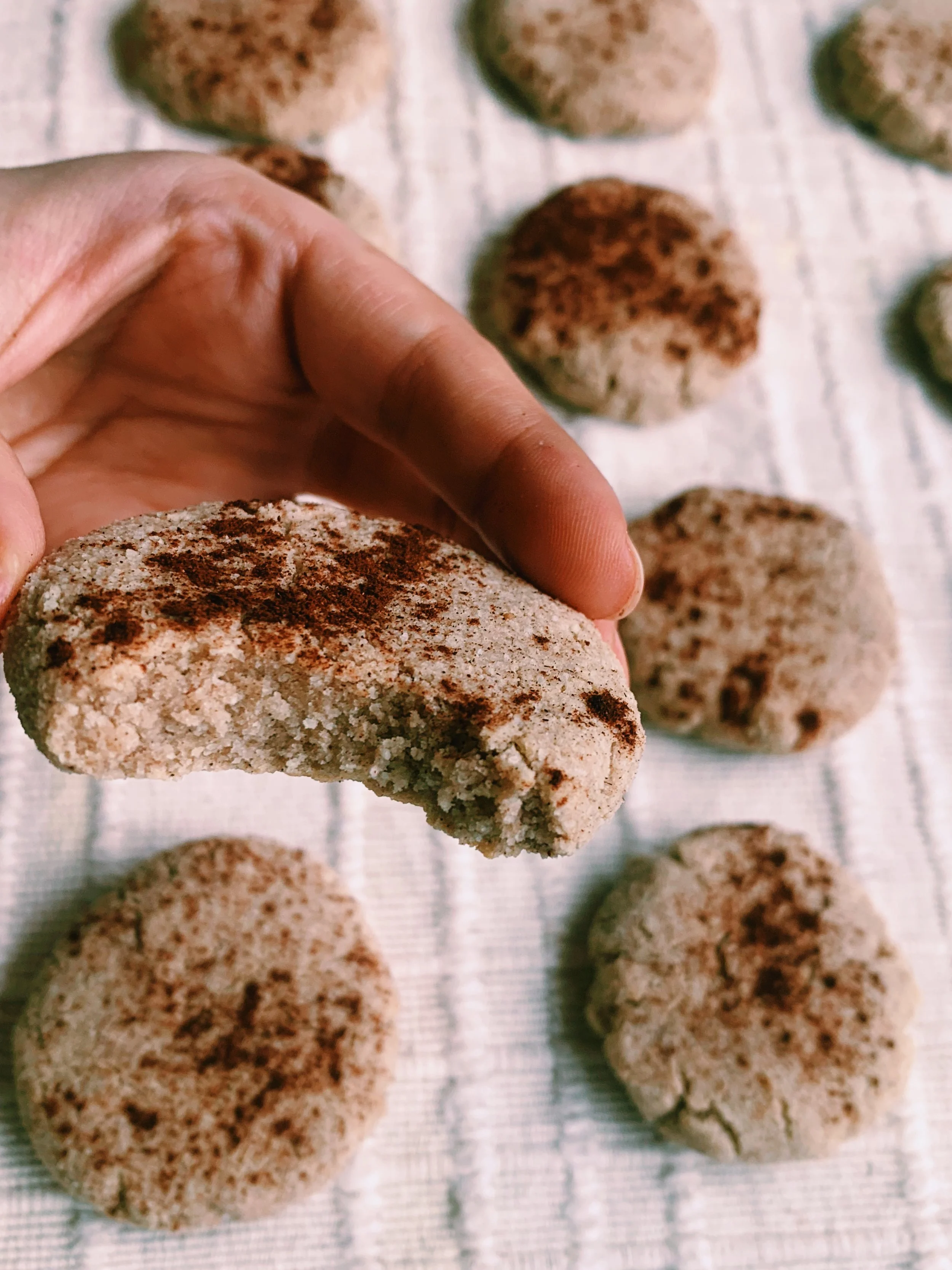 Paleo/Sugar Free Cinnamon Cashew Butter Cookies 