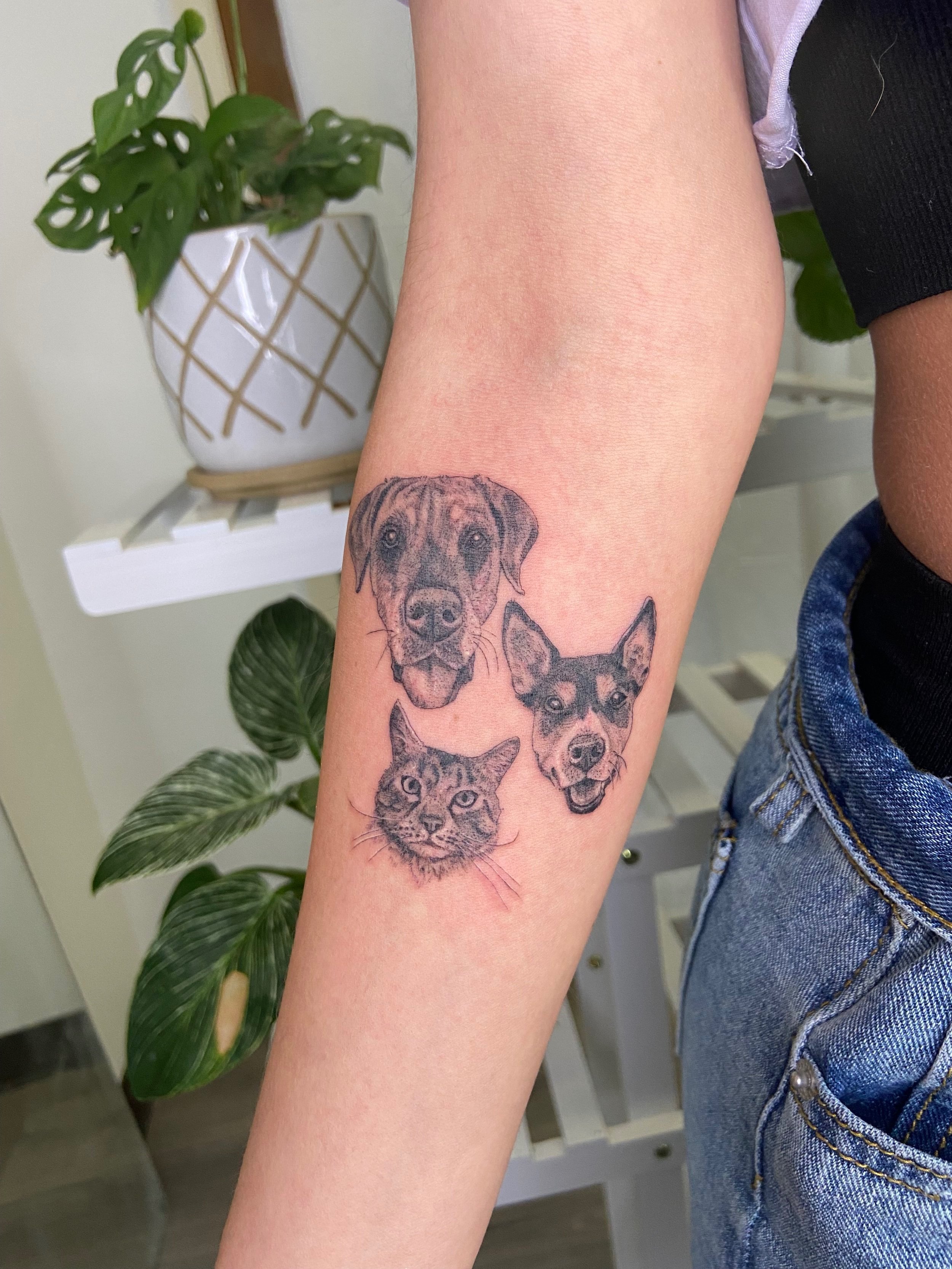 Dog portrait tattoo on forearm by Jak Connolly  rtattoo