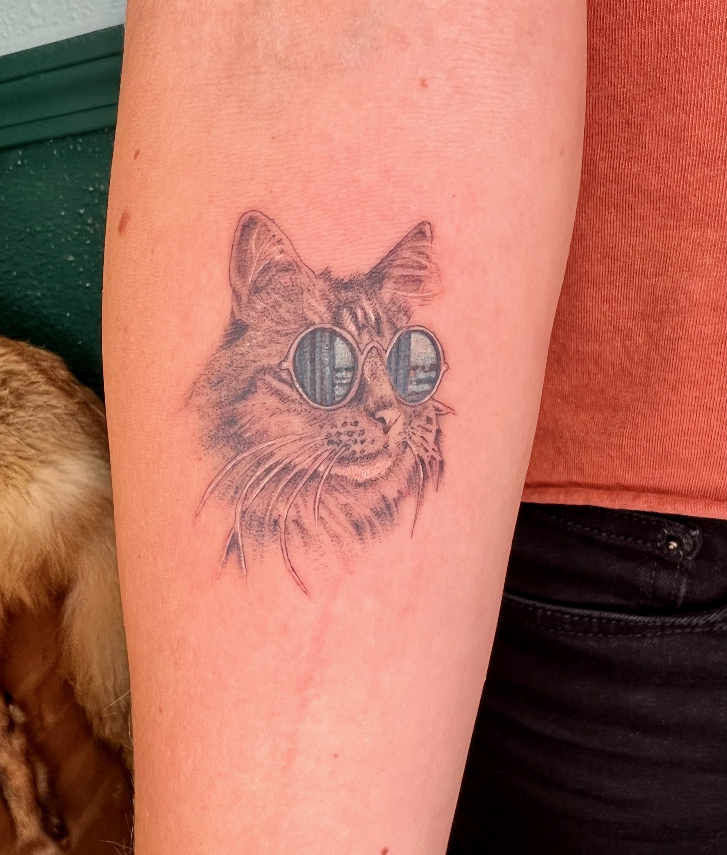 Pet Memorial Tattoos  My Pets Ashes