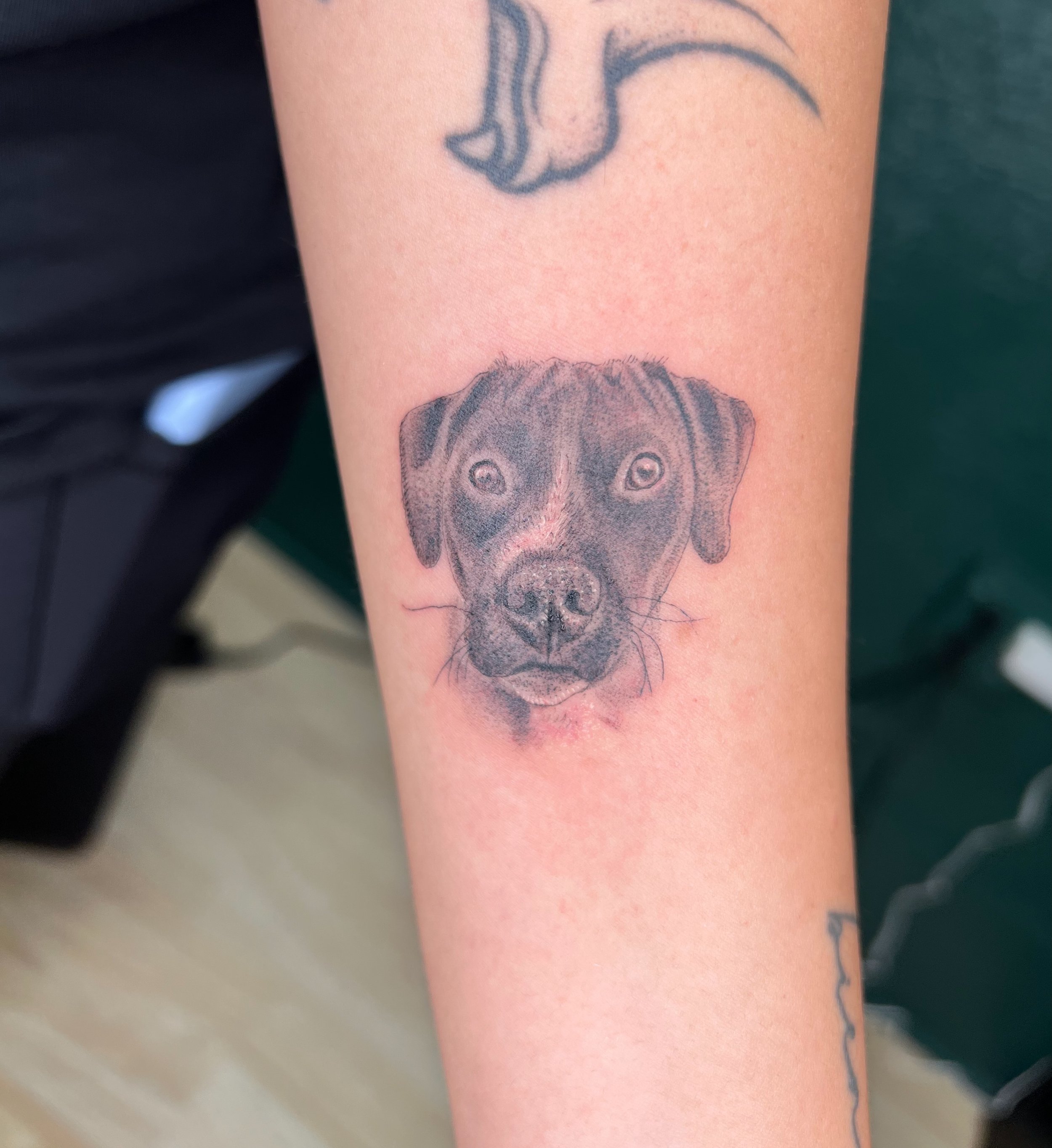 100 Heartwarming Dog Memorial Tattoos and Ideas to Honor Your Dog - Tattoo  Me Now | Dog portrait tattoo, Dog memorial tattoos, Dog tattoos