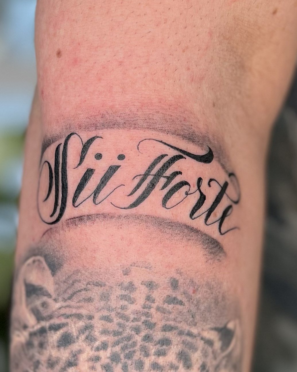 Watch these superfans get High Life tattoos  Molson Coors Beer  Beyond