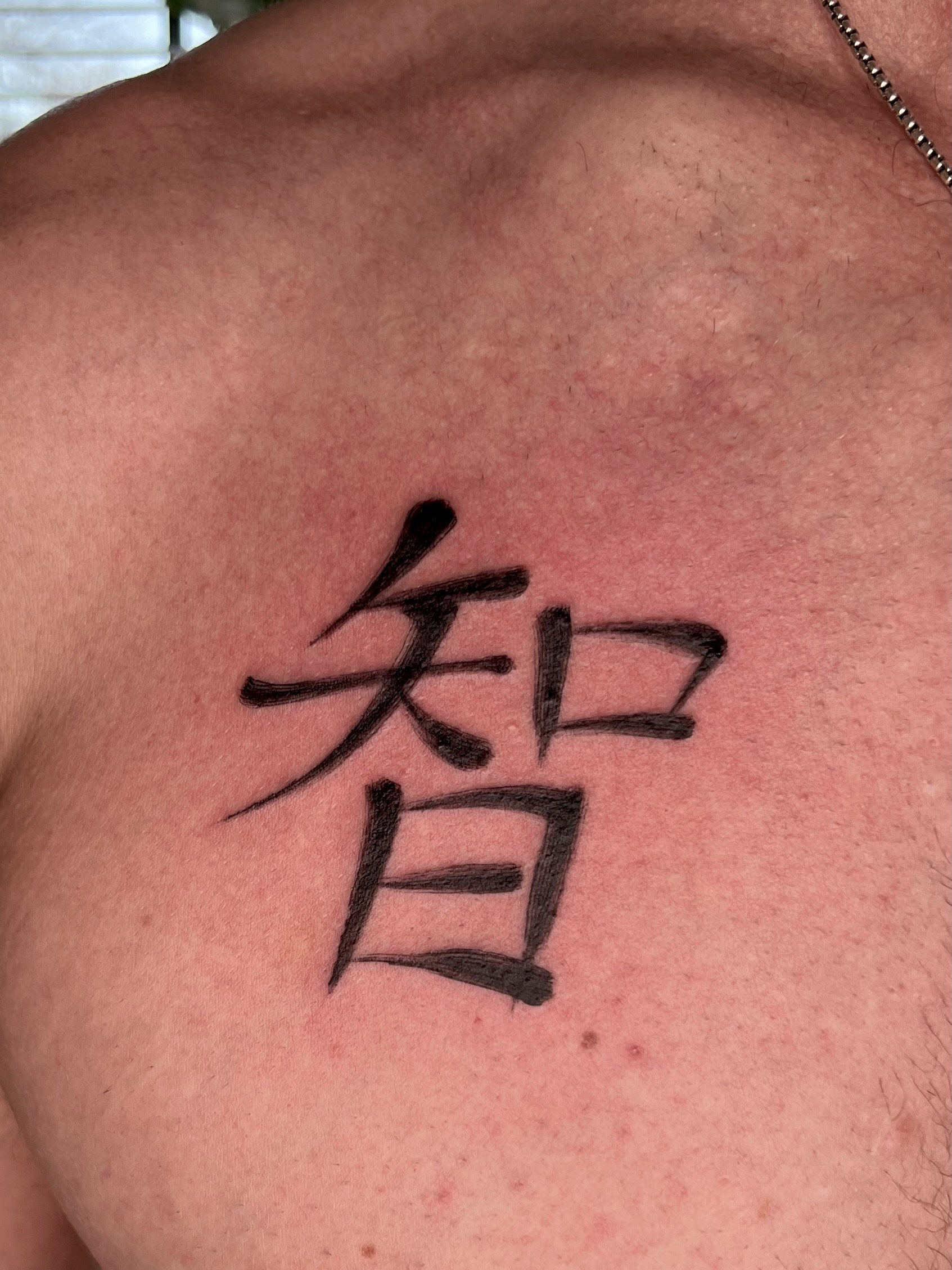  tattoo using a brush stroke effect of a Japanese character, Kanji   