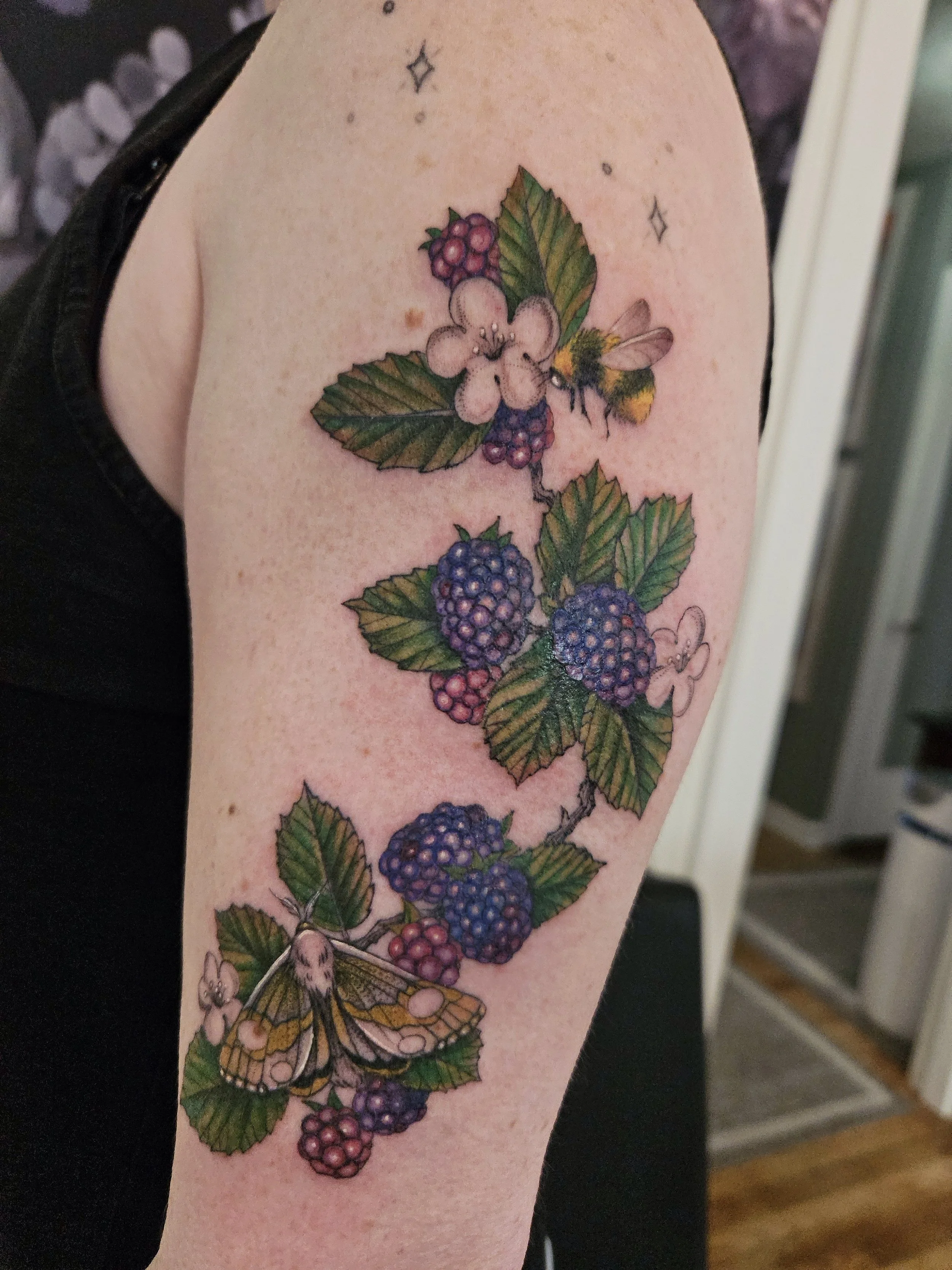 tattoo_color blackberries.JPG