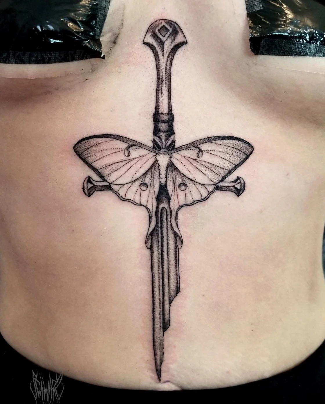 tattoo_sword and moth.PNG