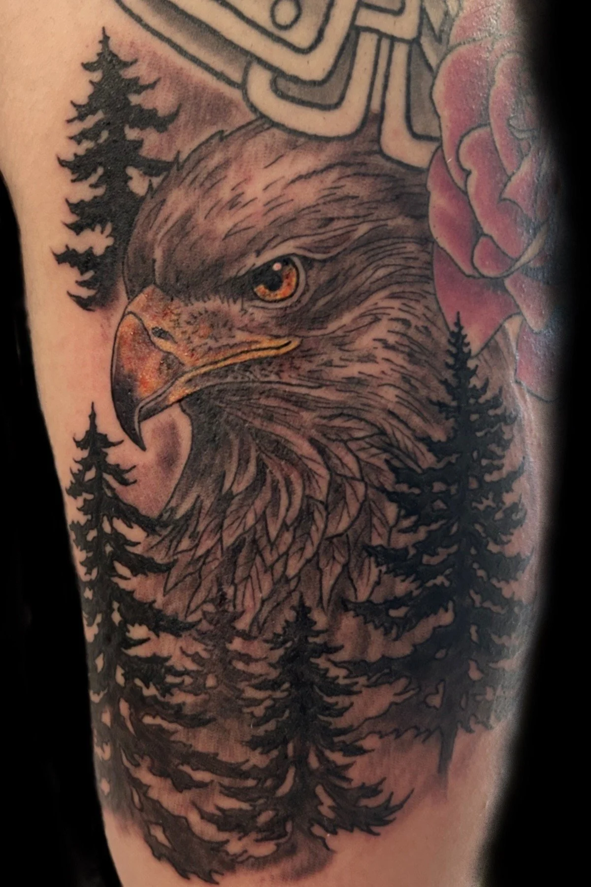 tattoo_black and grey eagle.jpg