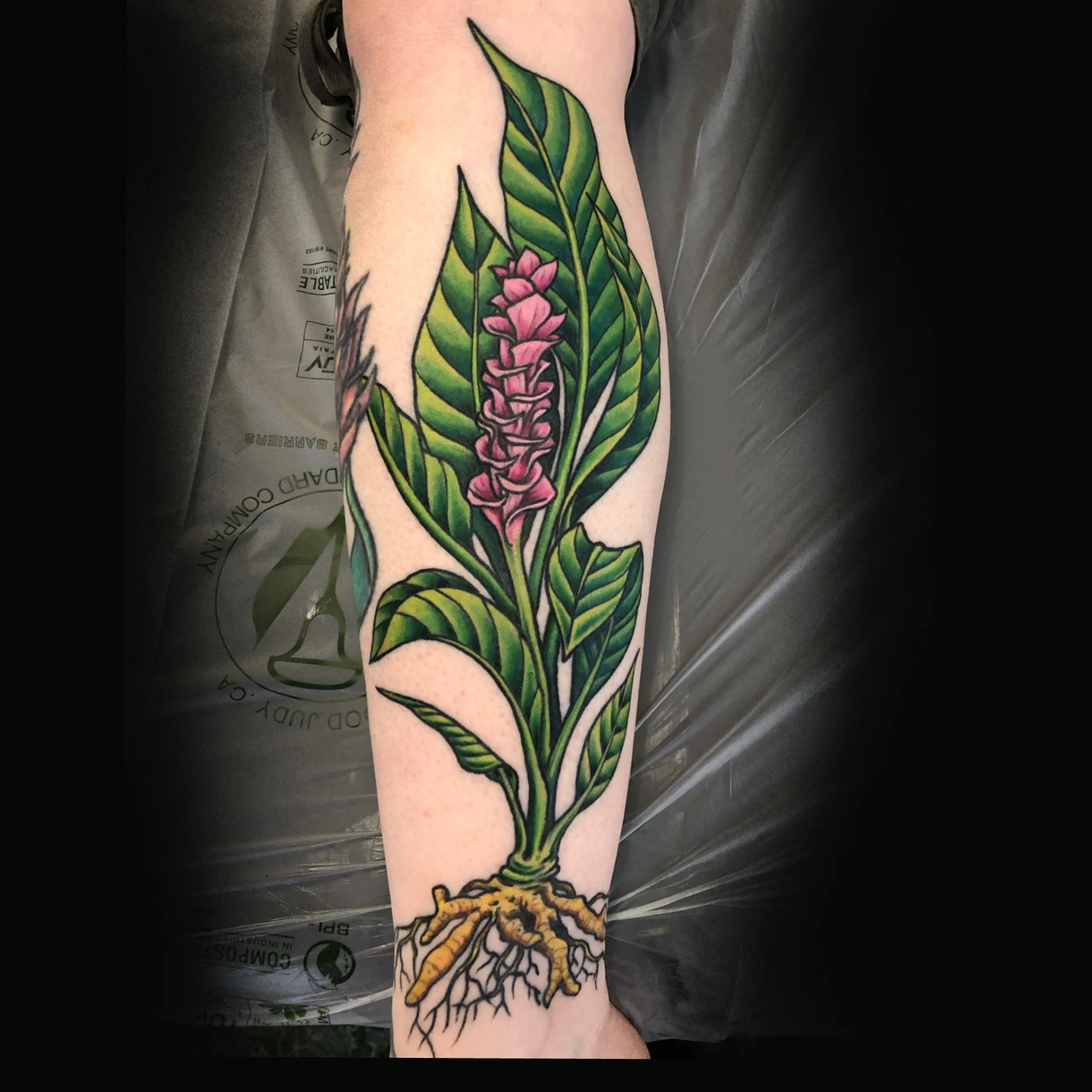tattoo_ginger flower.jpg